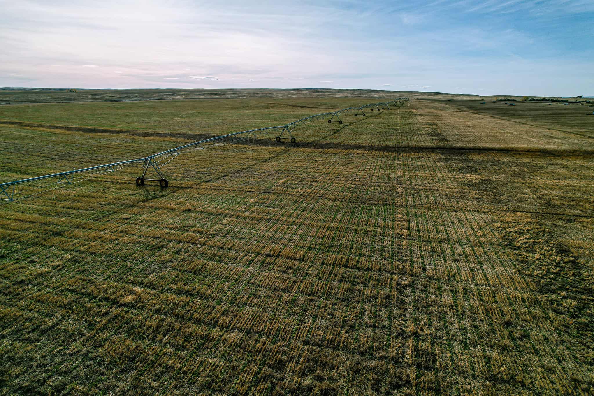 Eastern Montana Irrigated Pivot Ranch For Sale