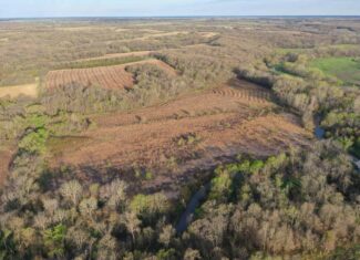 For Sale 40 Acre Hunting Tract in NW Missouri