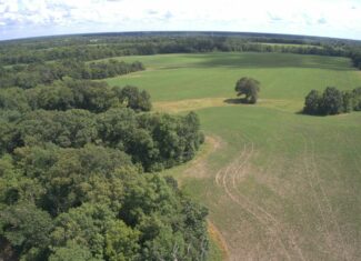 Knox County, MO 80 acres FOR SALE!