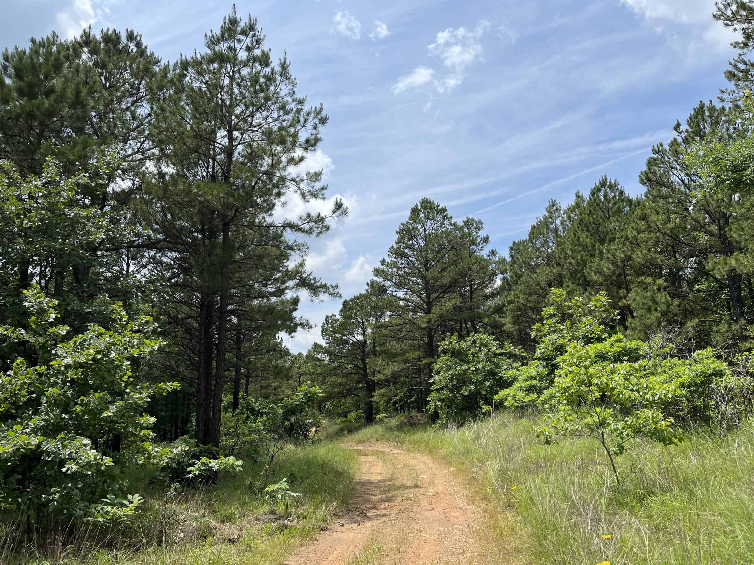 Hunting land for sale in Daisy, OK