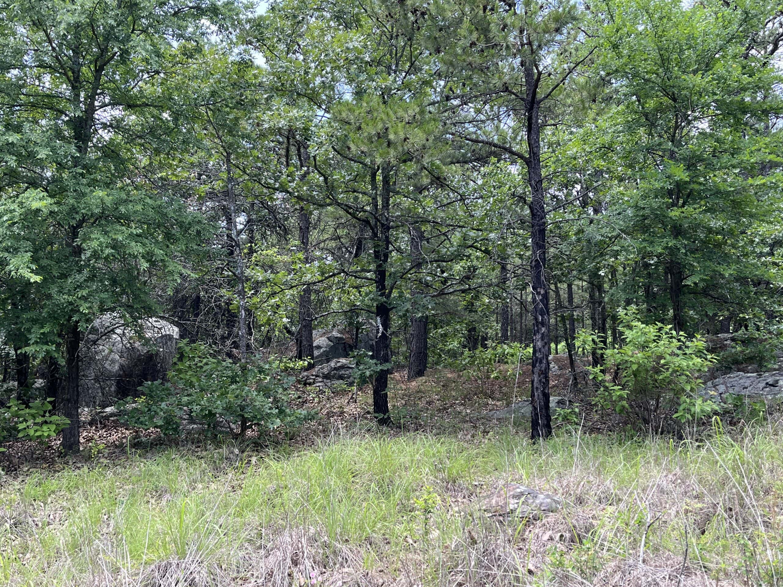 Hunting land for sale in Daisy, OK