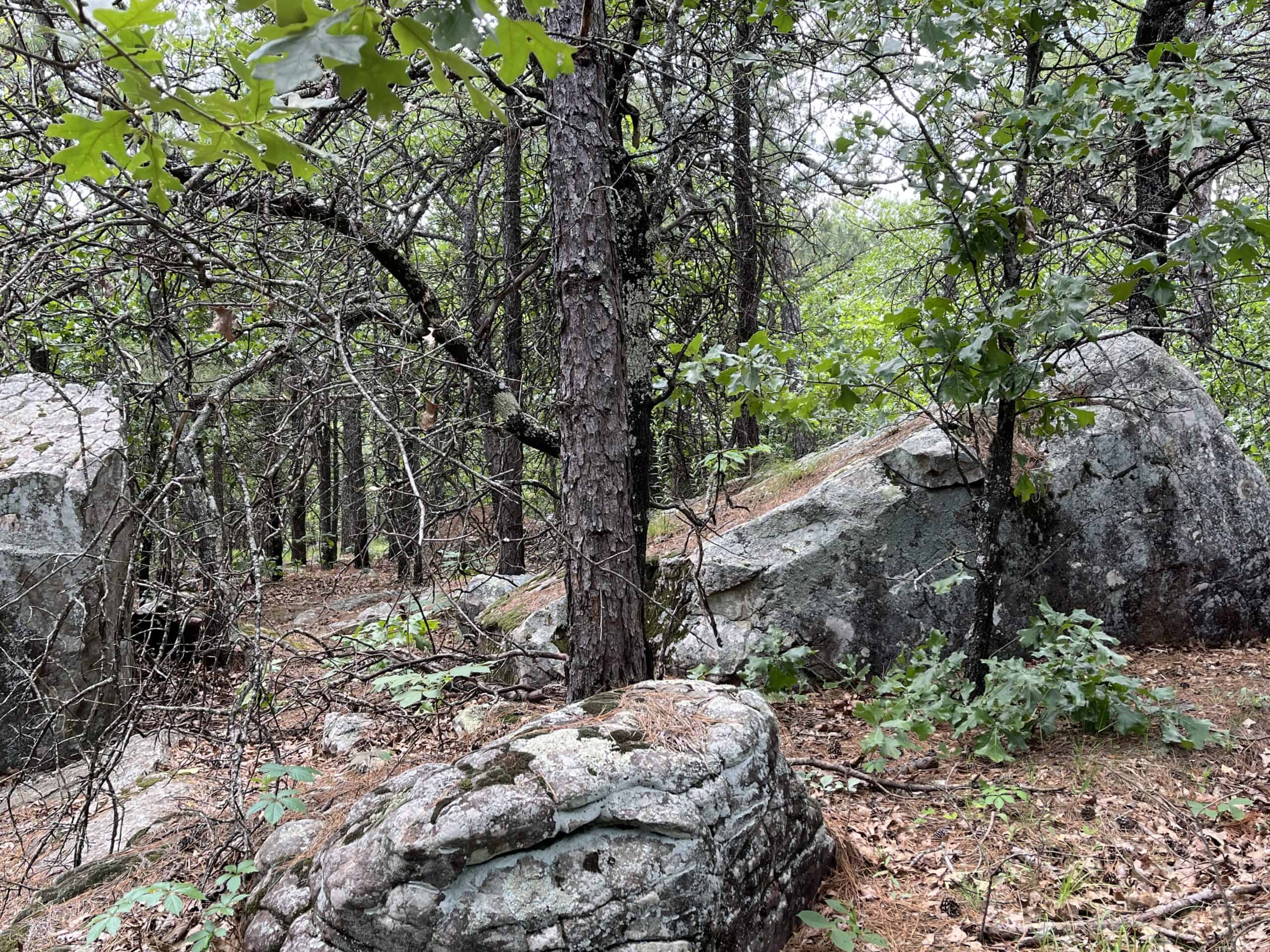 Hunting land for sale in Daisy, OK