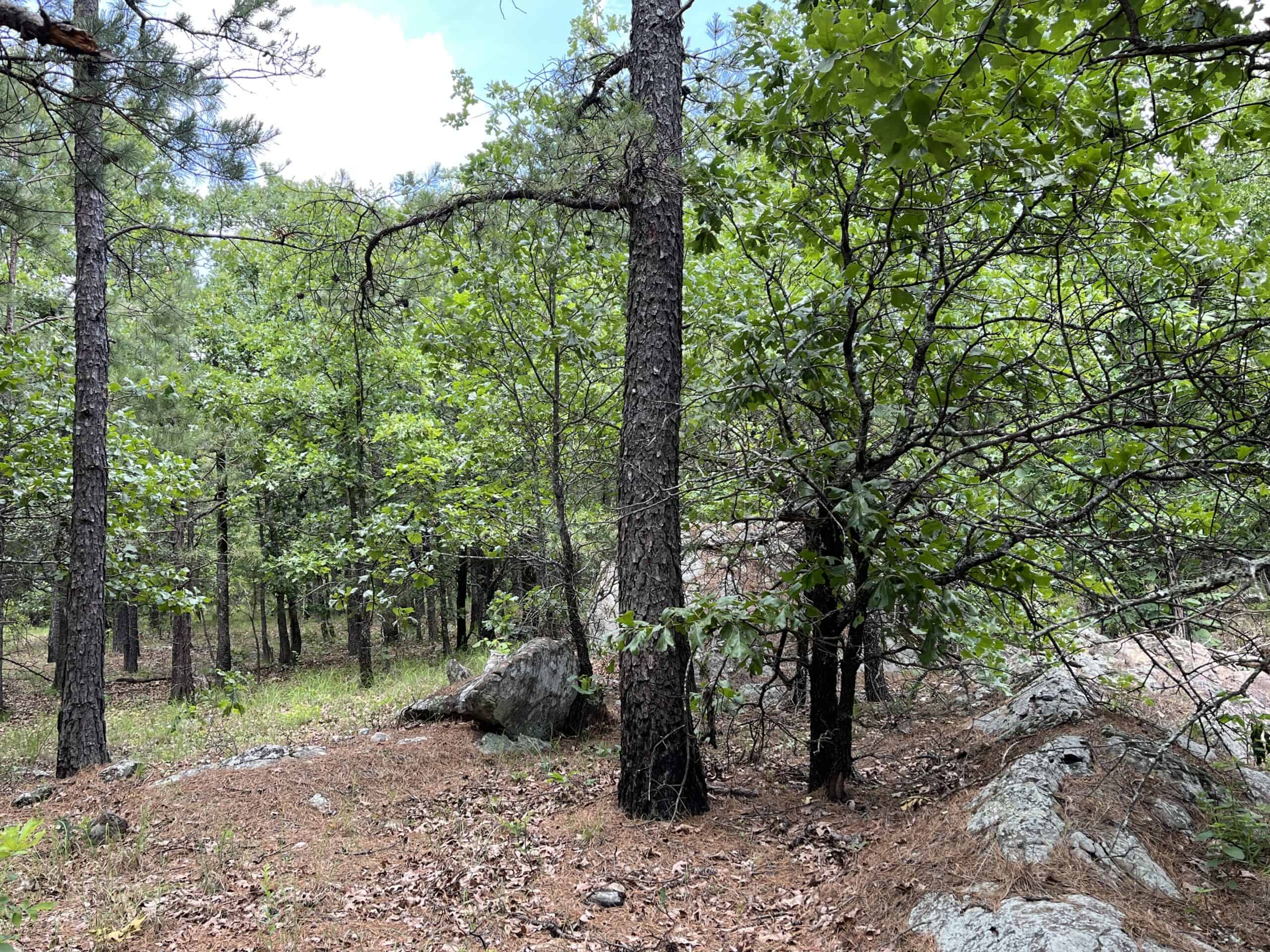 Hunting land for sale in Daisy, OK