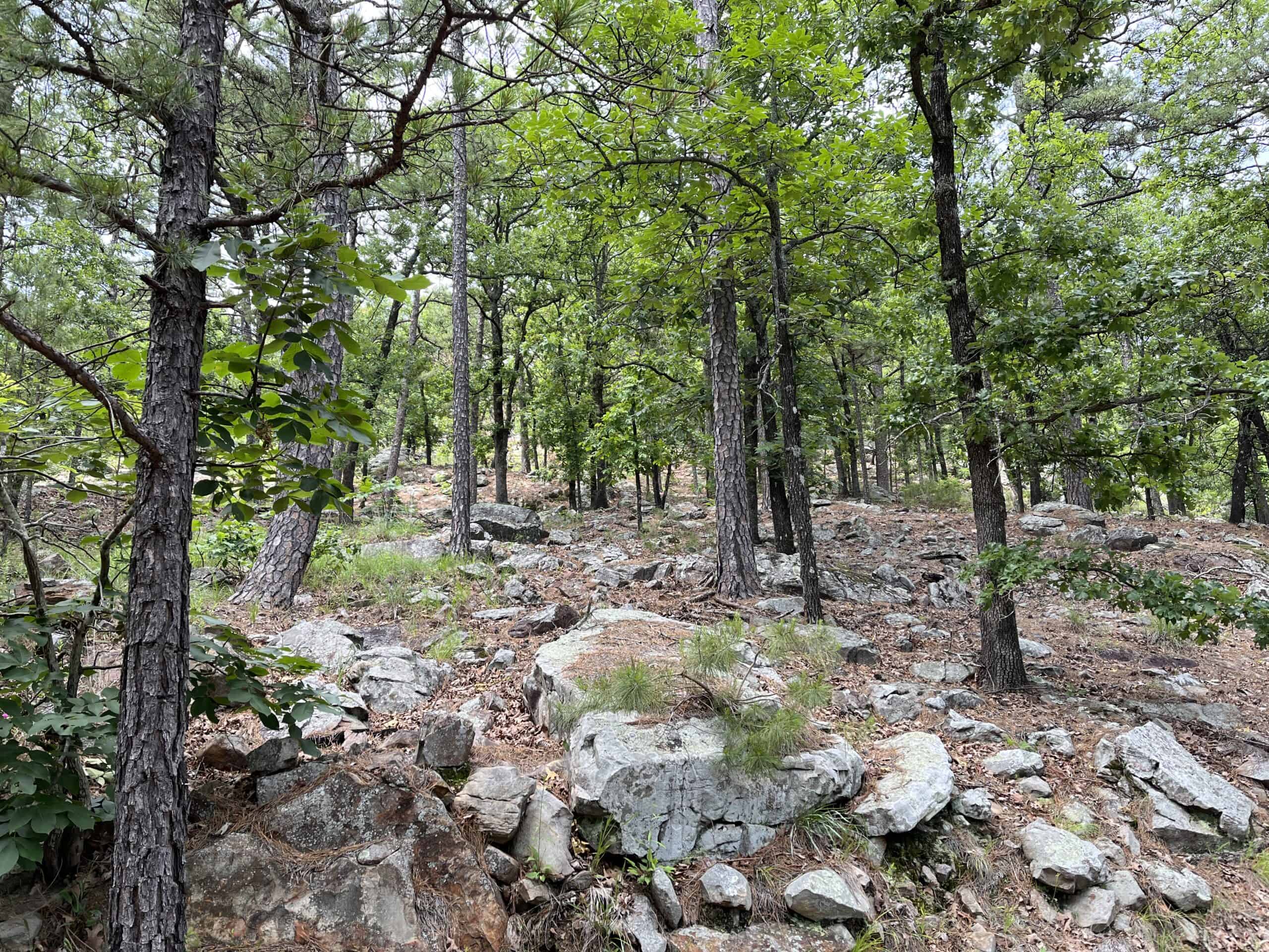 Hunting land for sale in Daisy, OK