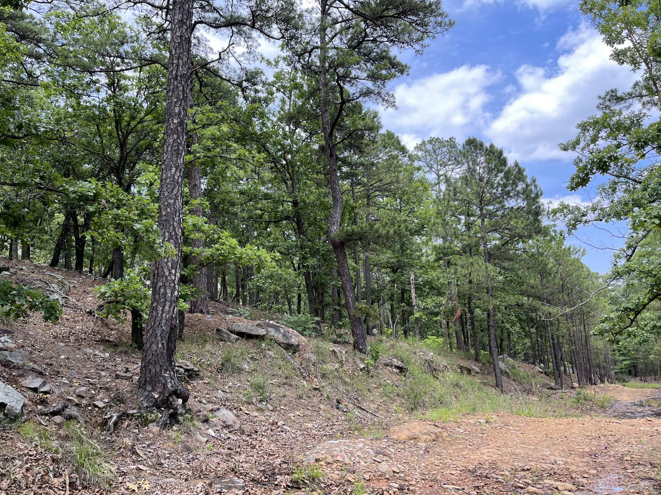 Hunting land for sale in Daisy, OK