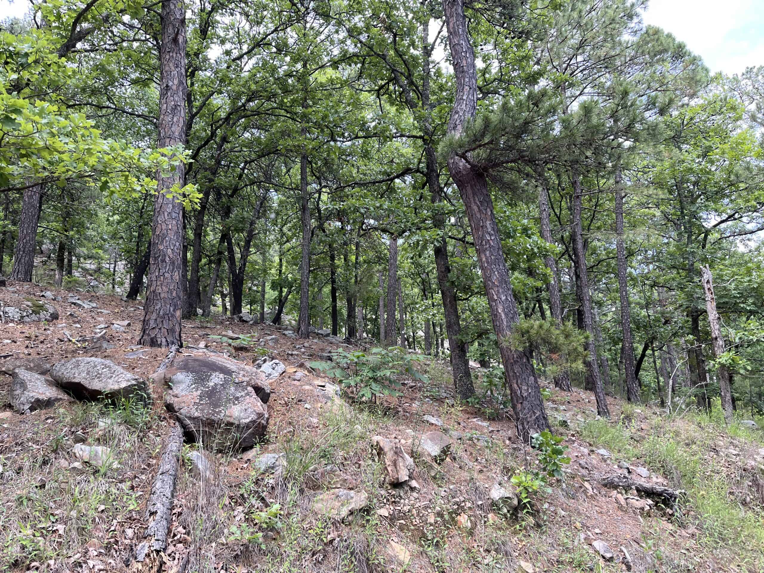 Hunting land for sale in Daisy, OK
