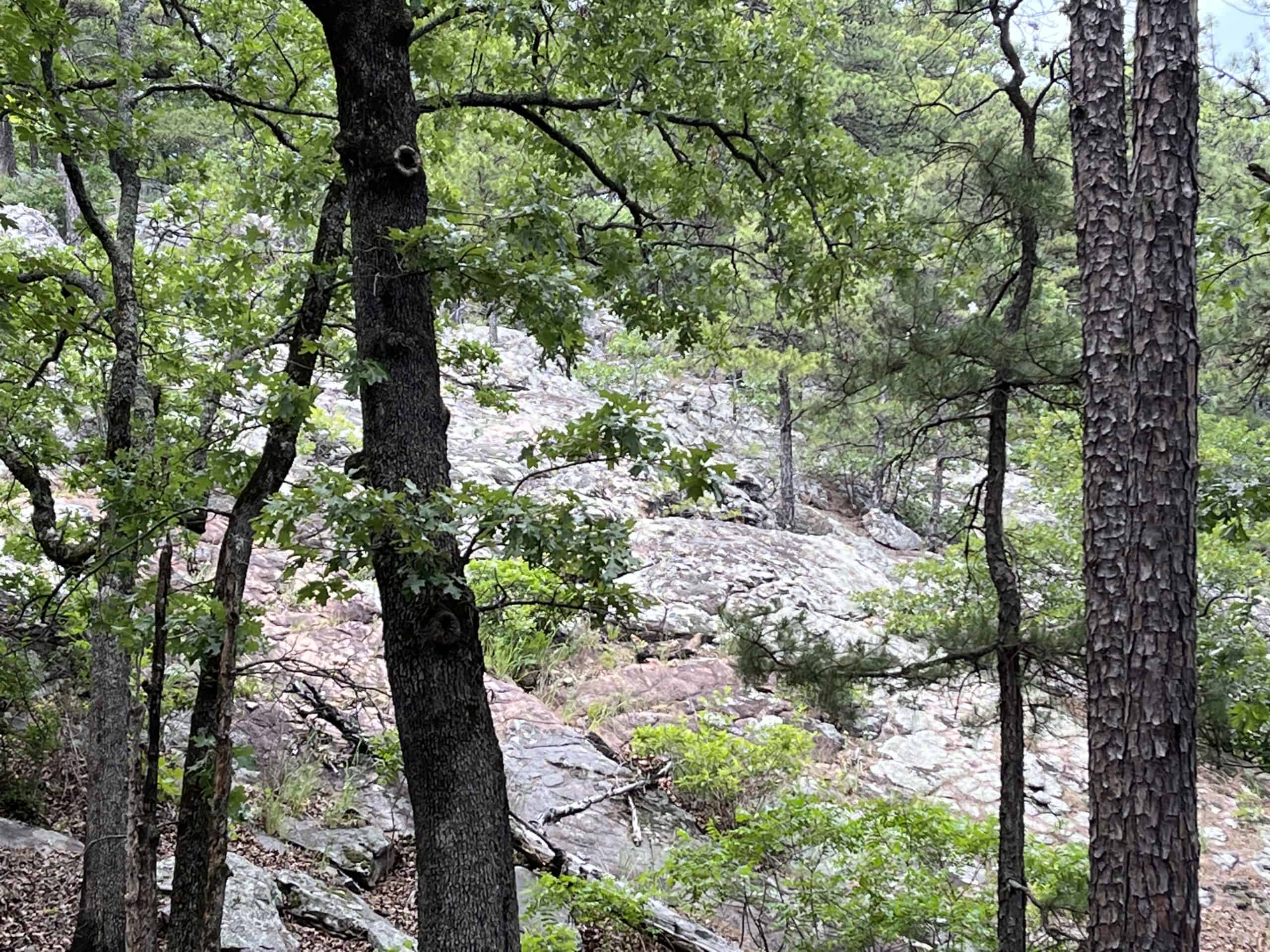 Hunting land for sale in Daisy, OK