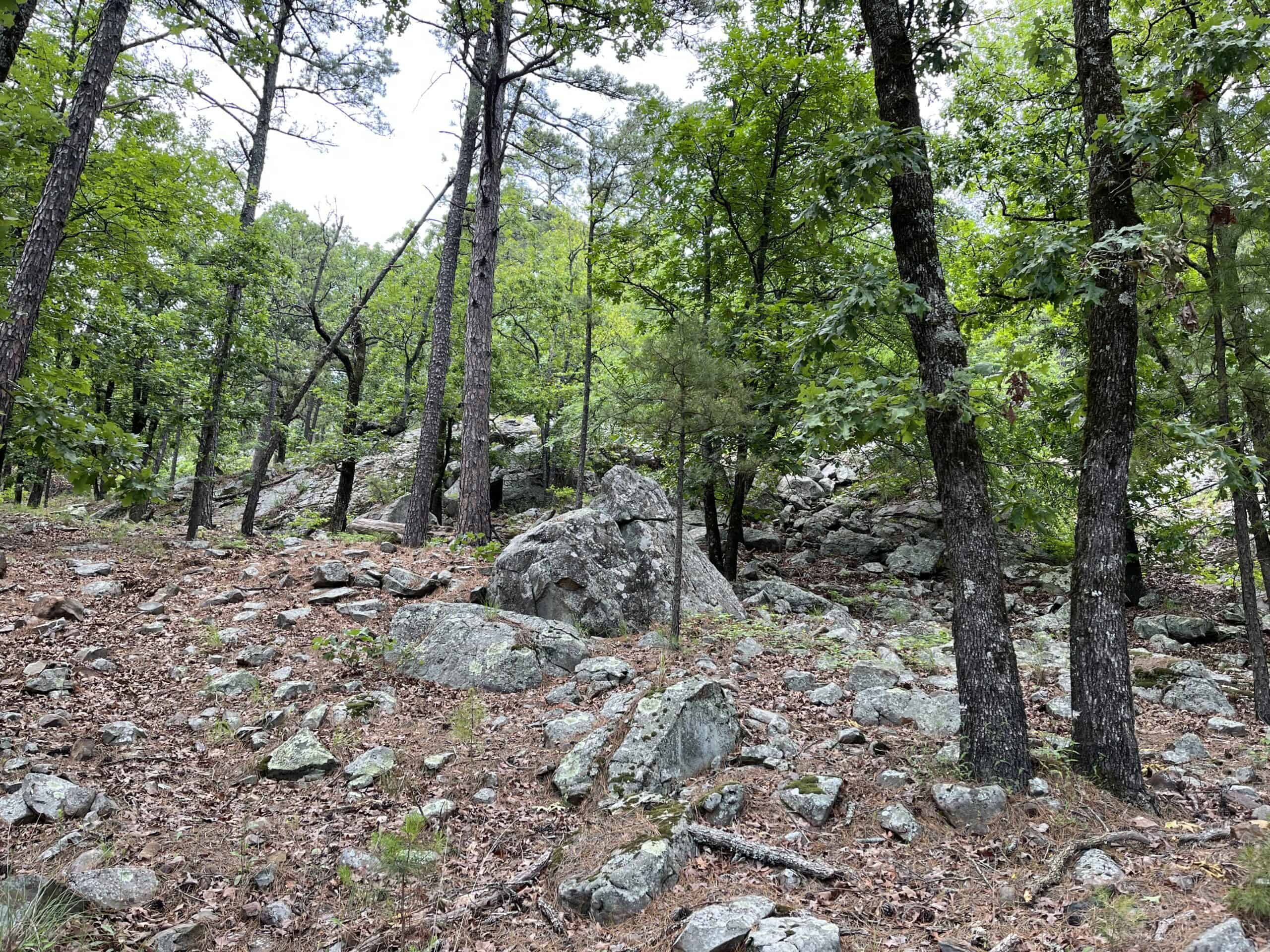 Hunting land for sale in Daisy, OK