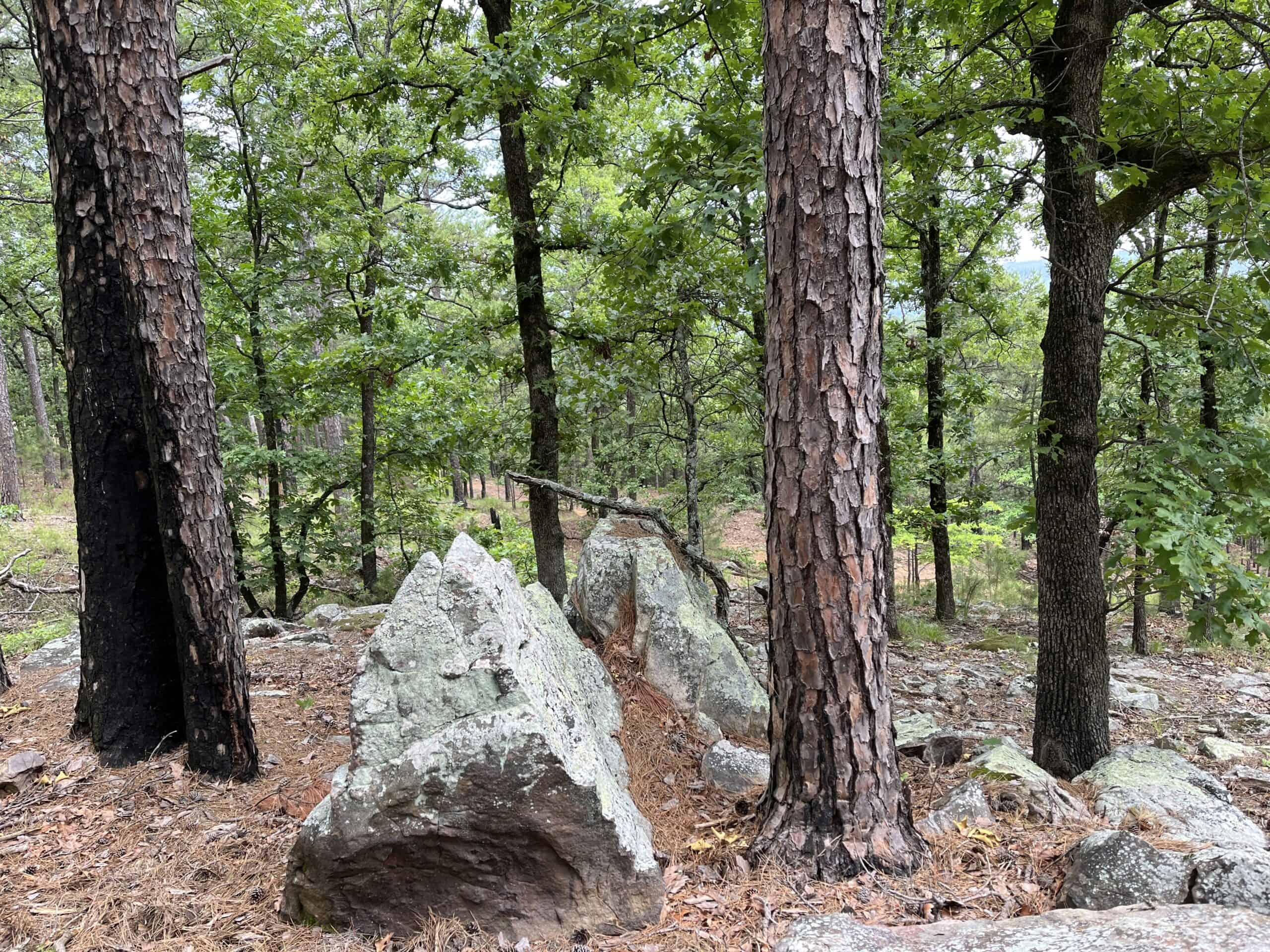 Hunting land for sale in Daisy, OK