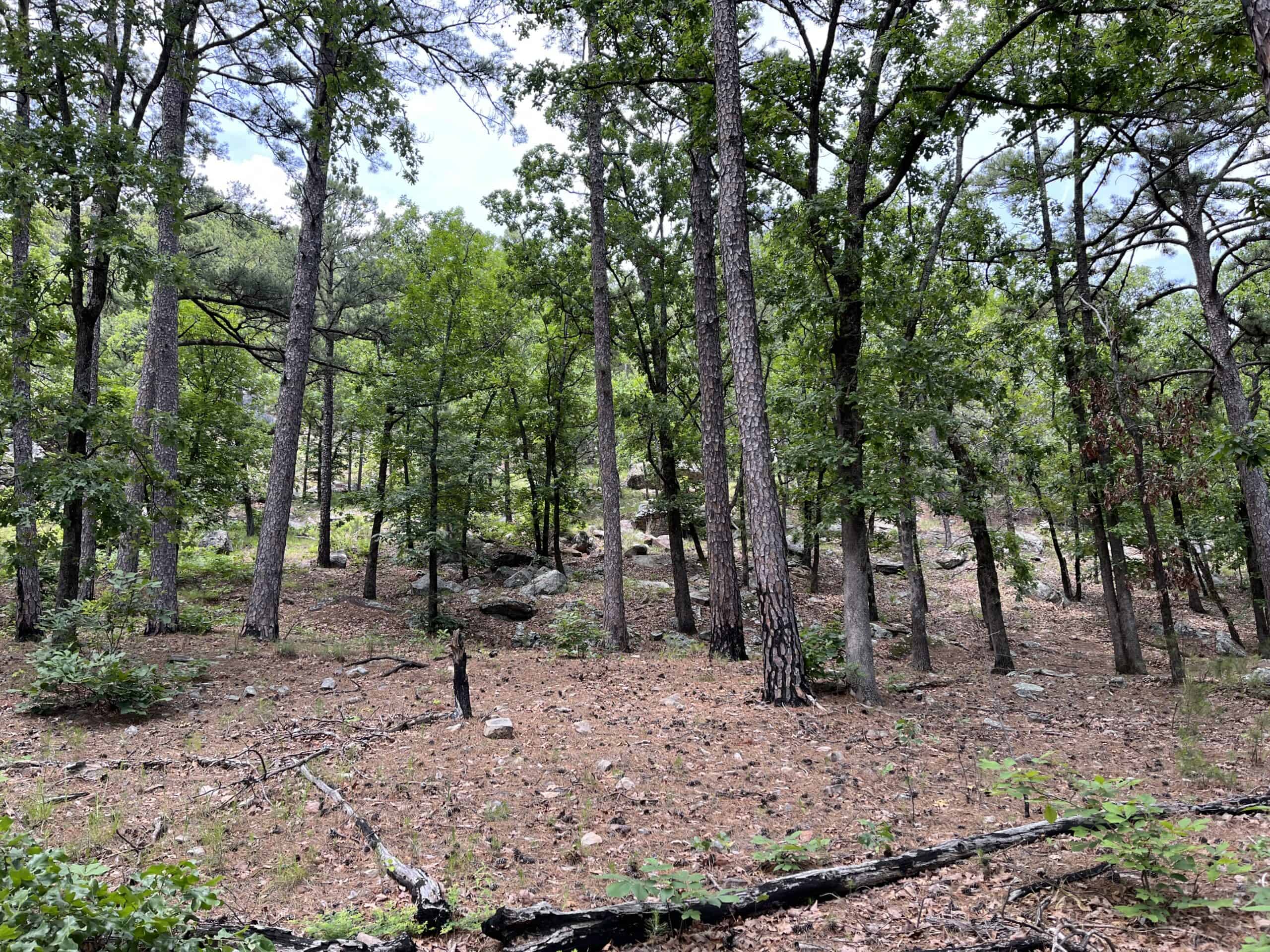 Acreage For Sale in Daisy, Oklahoma!
