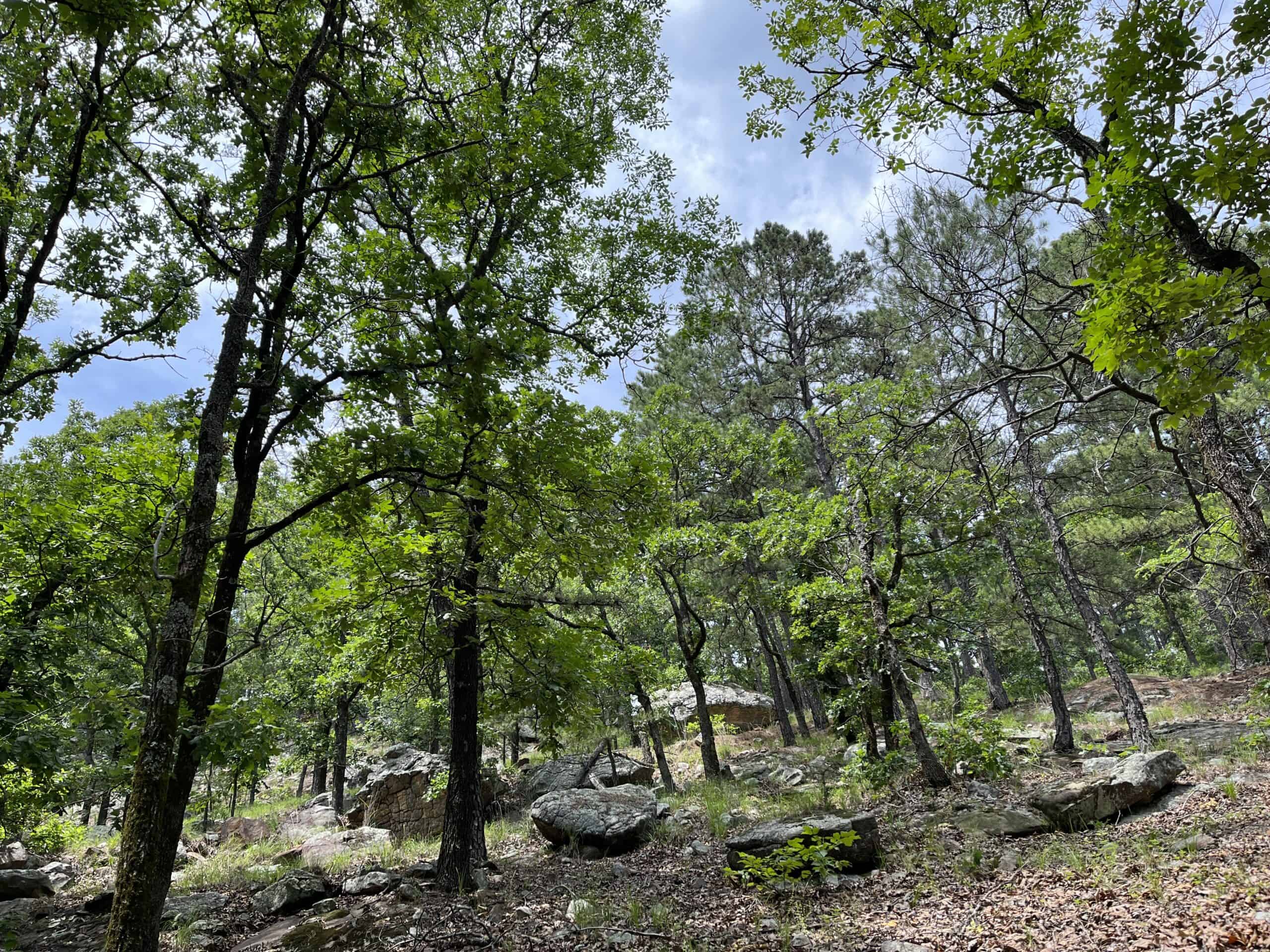 Acreage For Sale in Daisy, Oklahoma!