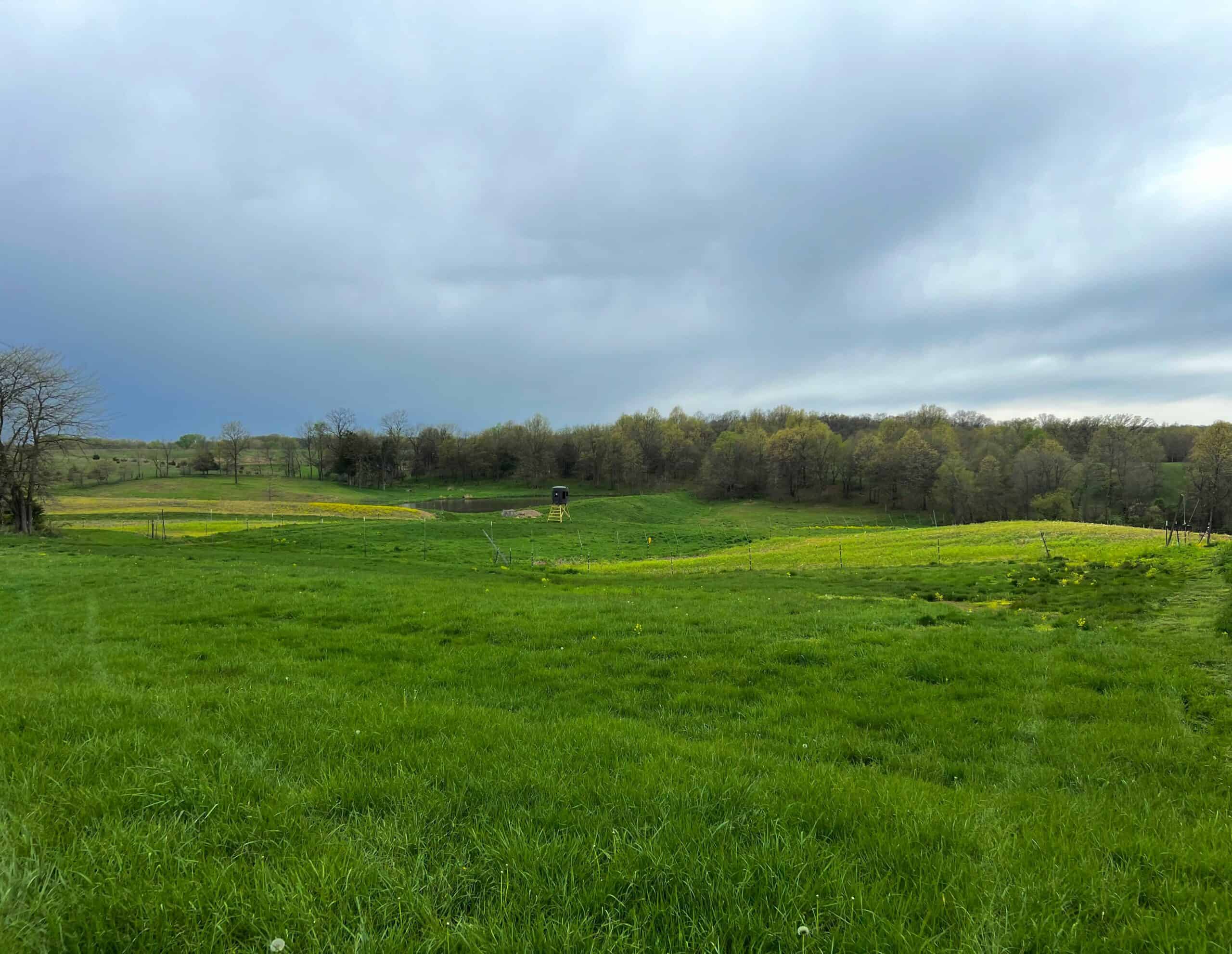 Van Buren County Small Tract of Land For Sale!