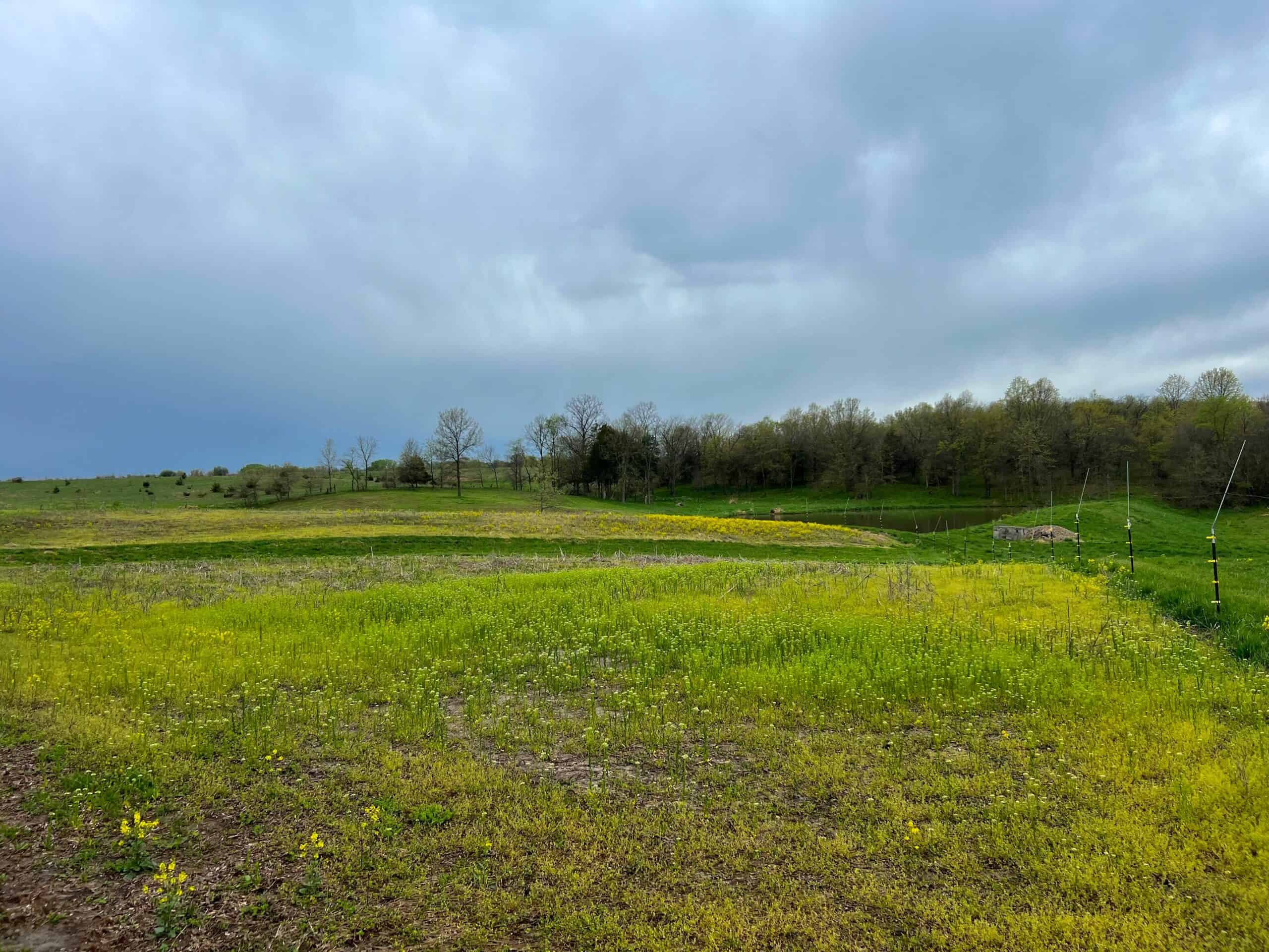 Van Buren County Small Tract of Land For Sale!