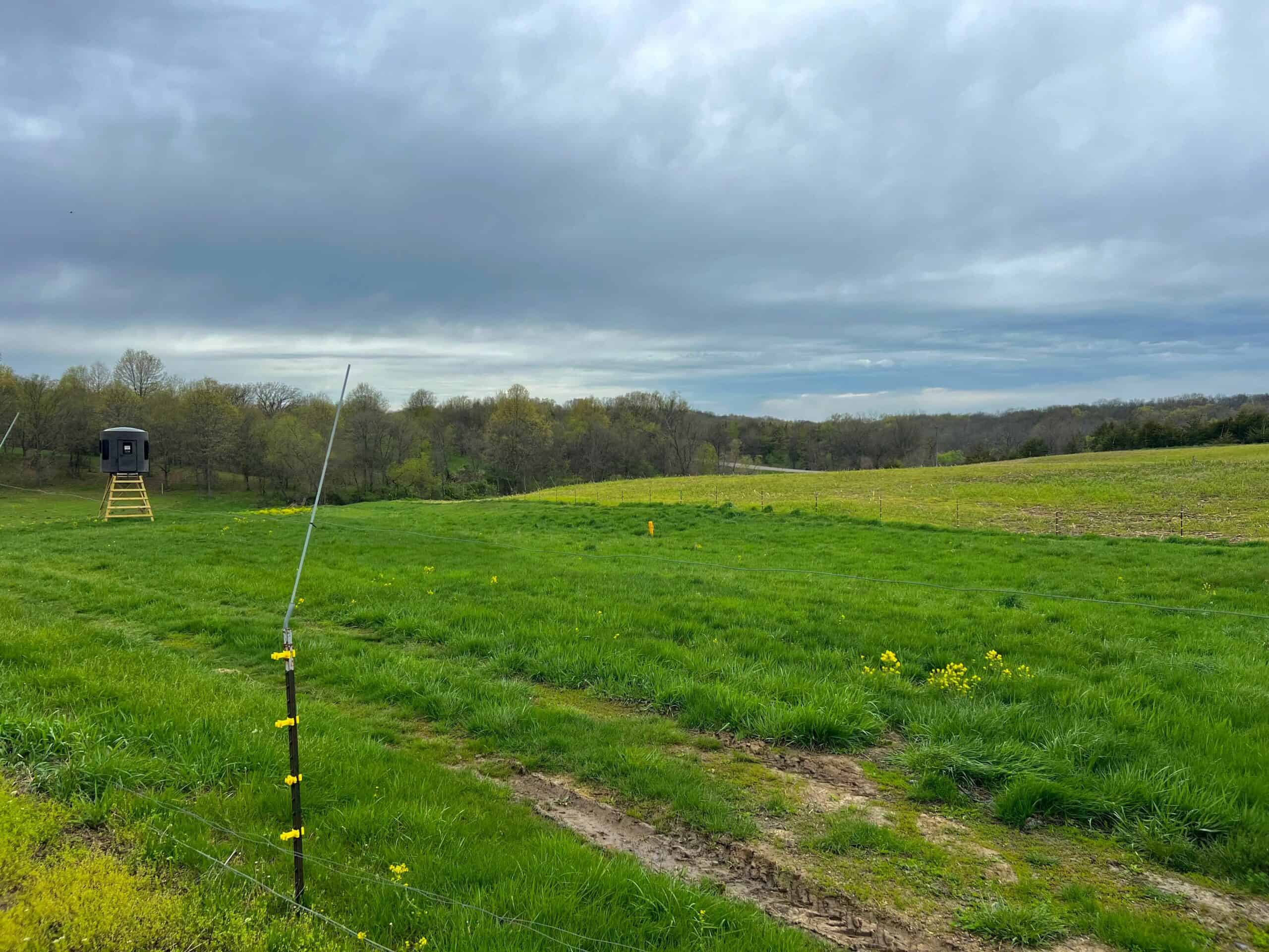 Van Buren County Small Tract of Land For Sale!