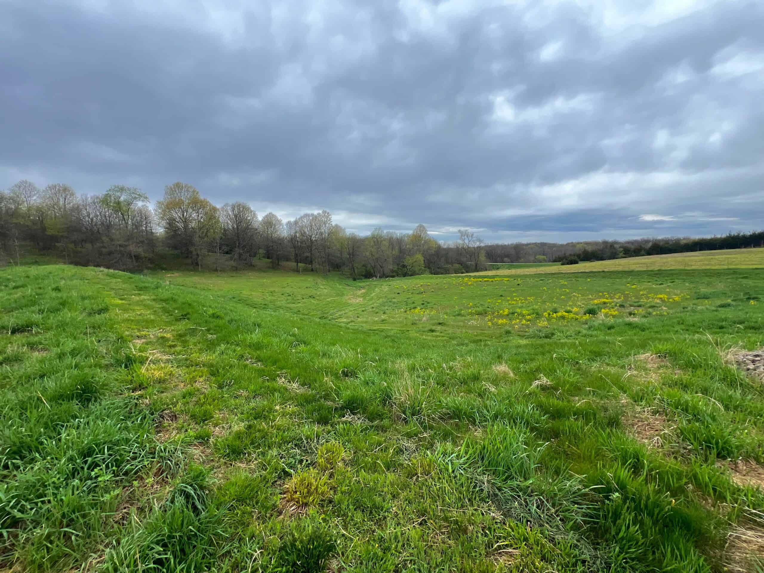 Van Buren County Small Tract of Land For Sale!