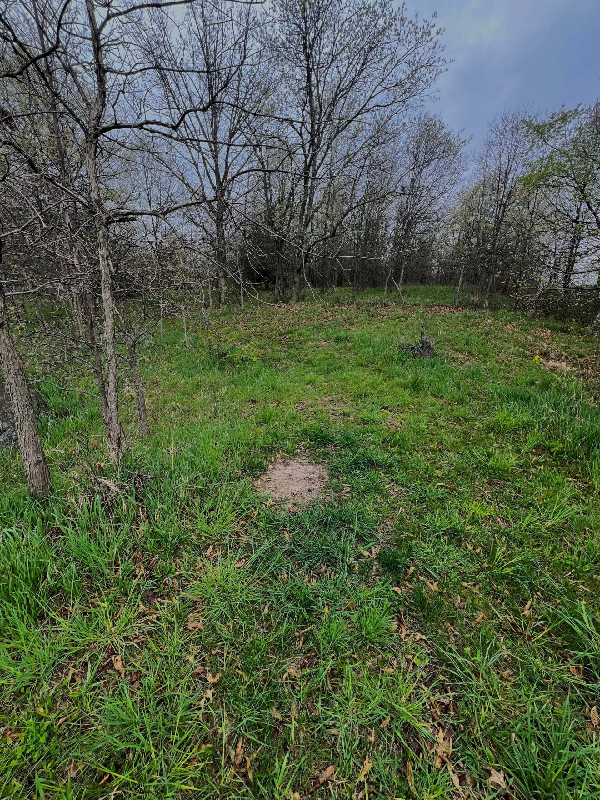 Van Buren County Small Tract of Land For Sale!