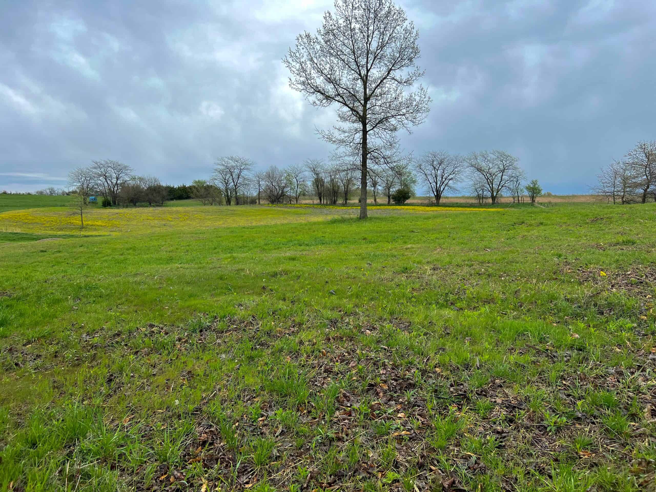 Van Buren County Small Tract of Land For Sale!
