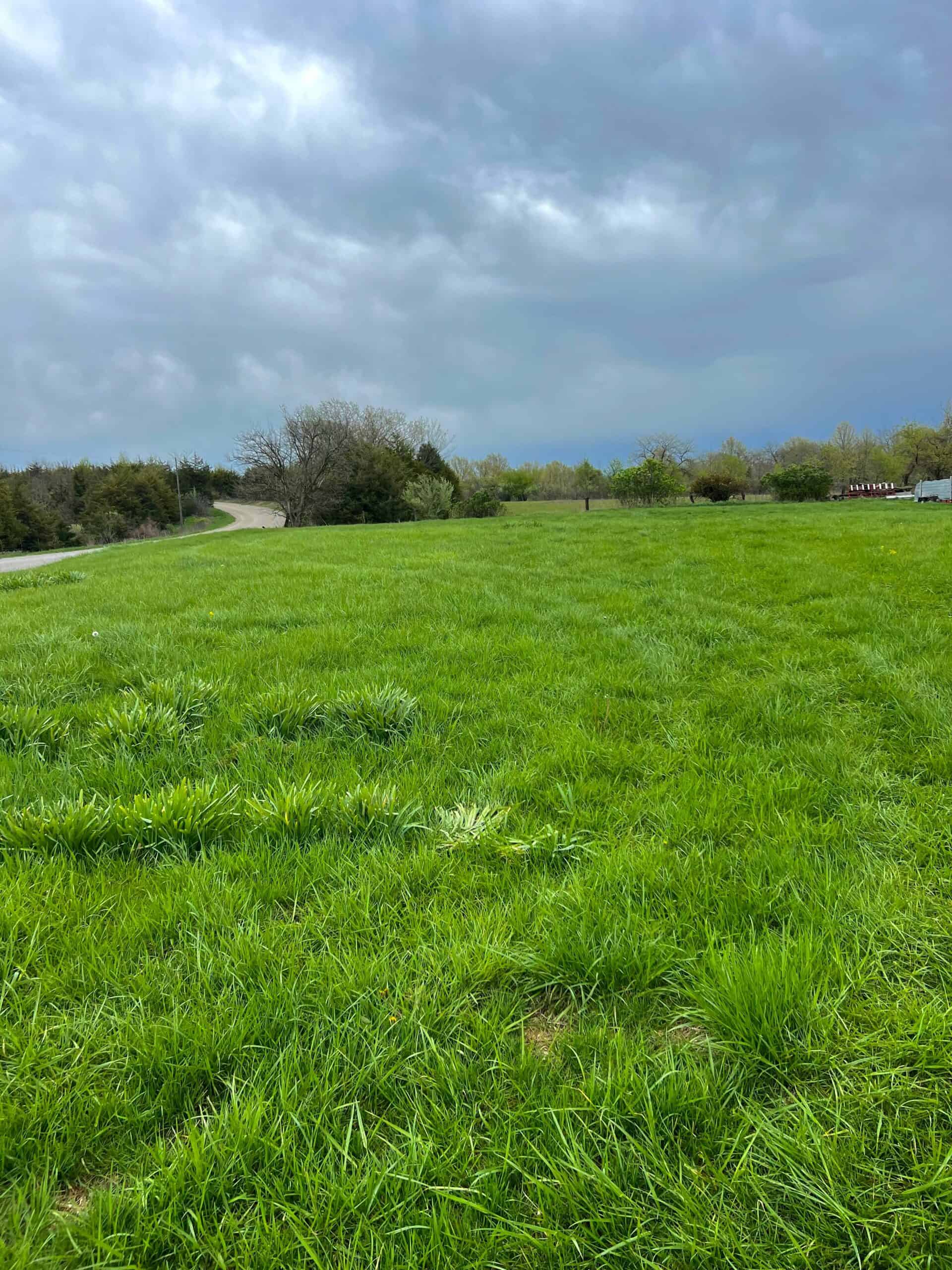 Van Buren County Small Tract of Land For Sale!