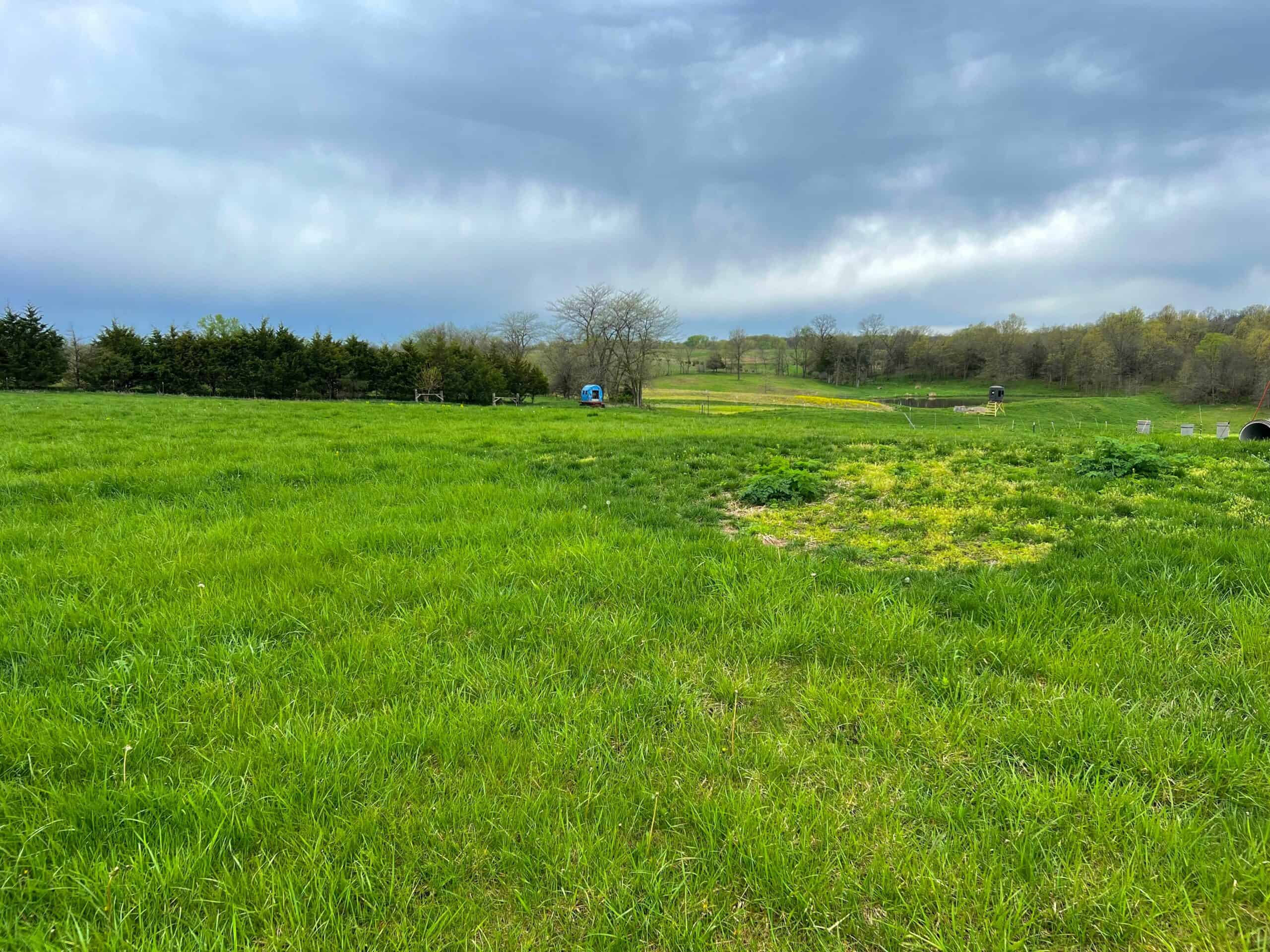 Van Buren County Small Tract of Land For Sale!