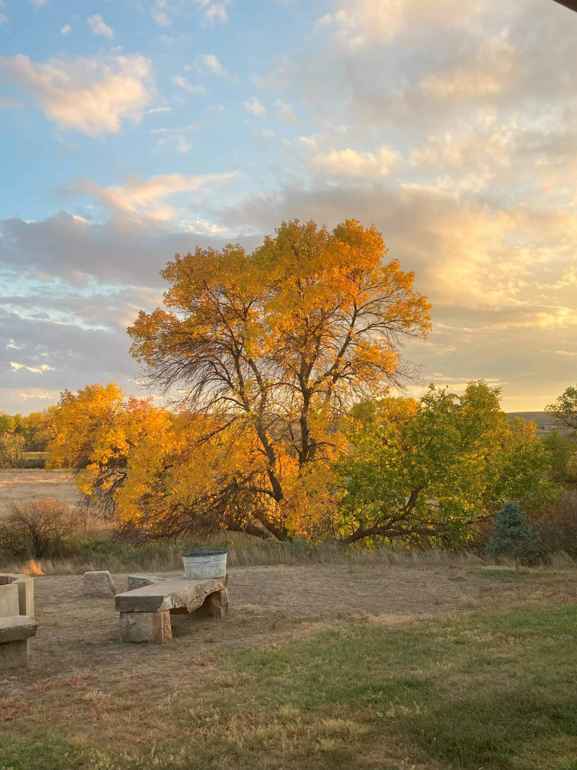 Hunting and Ranch property for sale in Hot Springs, SD near Angustora Lake