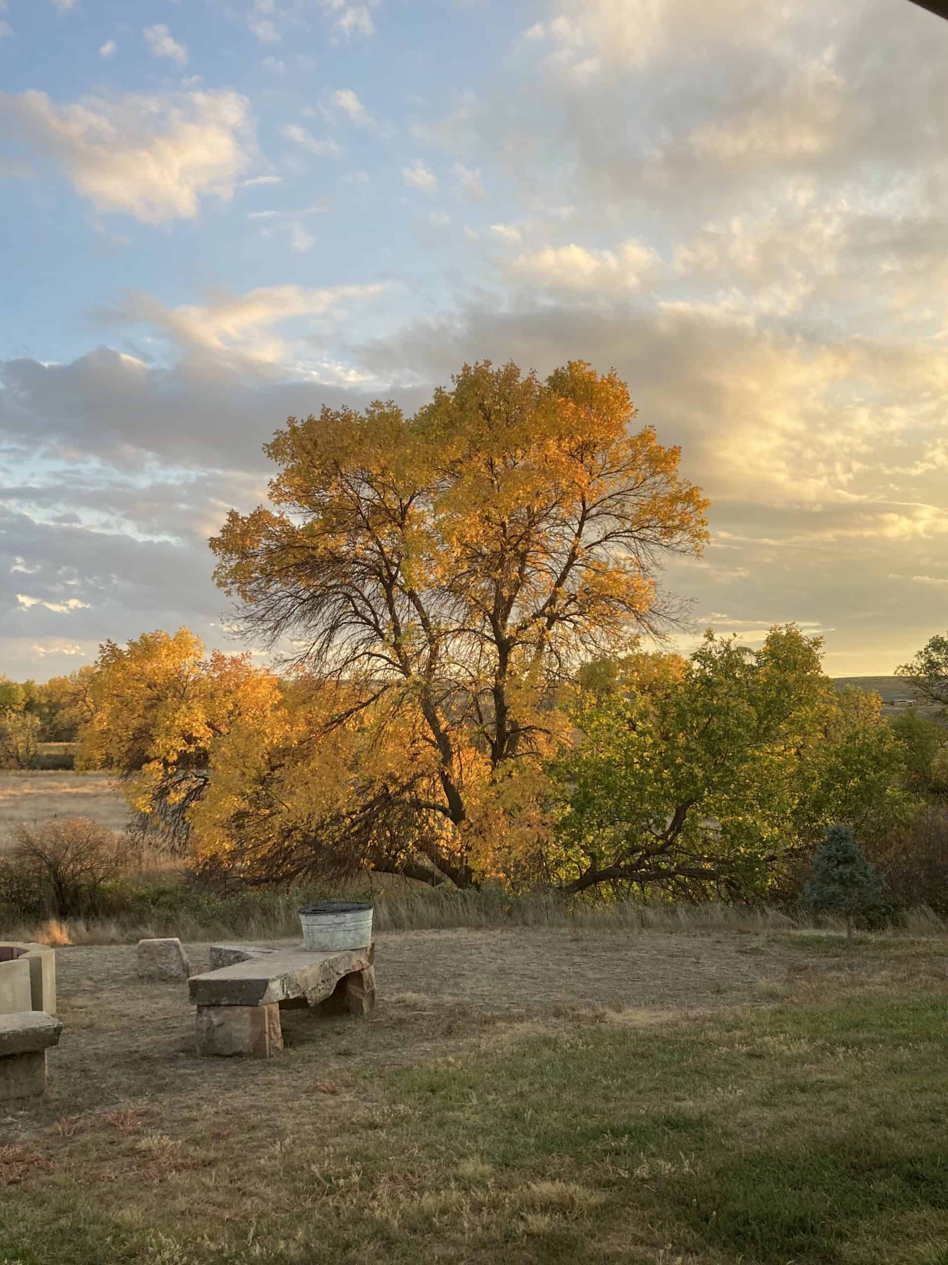 Hunting and Ranch property for sale in Hot Springs, SD near Angustora Lake
