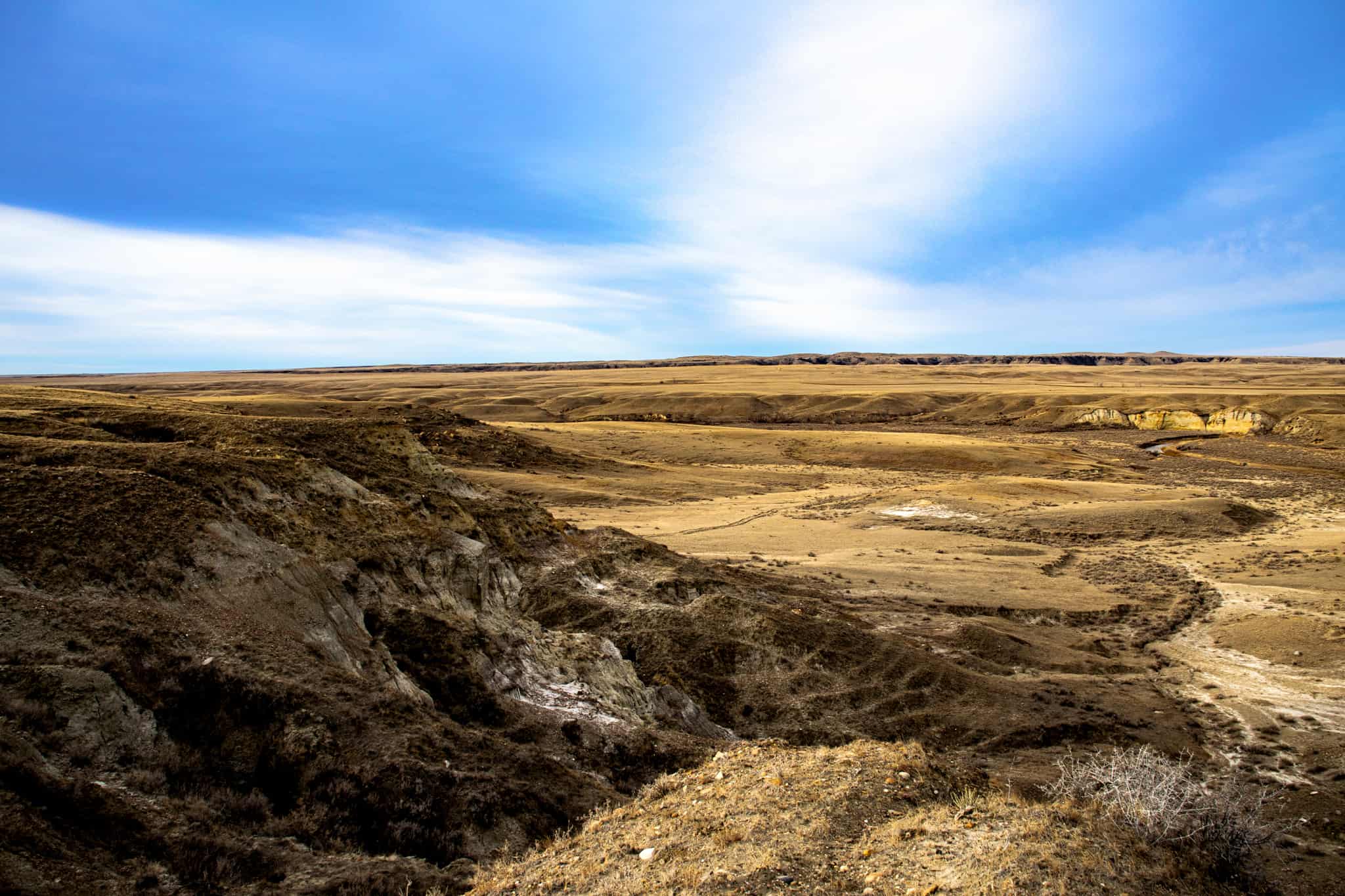 Northeastern Montana Working Cattle Ranch-Mule Deer Hunting Property