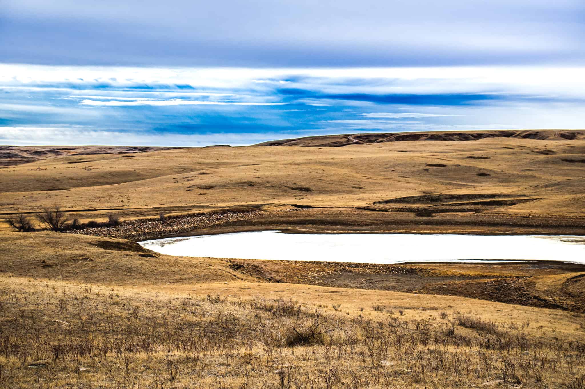 Northeastern Montana Working Cattle Ranch-Mule Deer Hunting Property