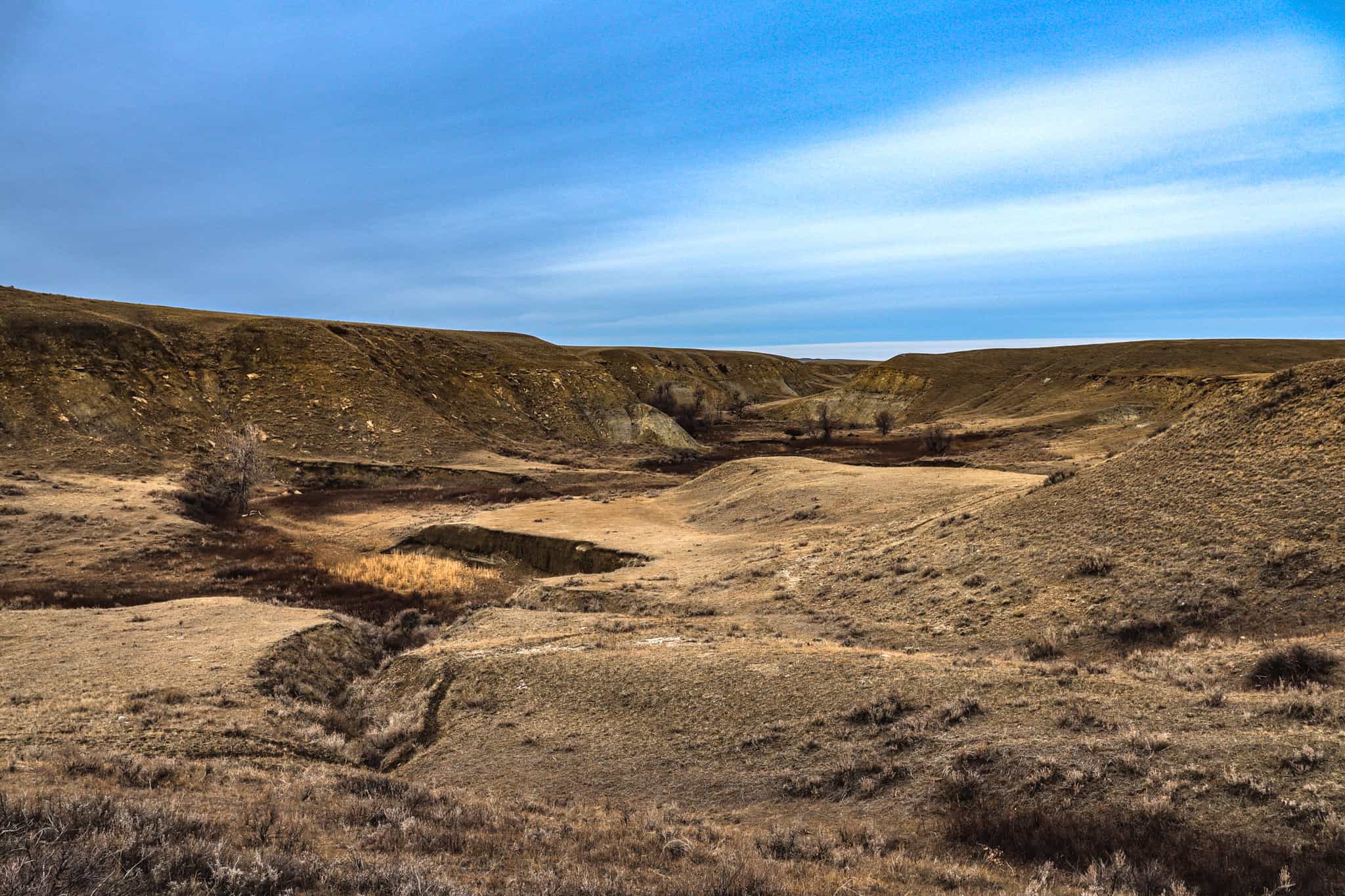 Northeastern Montana Working Cattle Ranch-Mule Deer Hunting Property