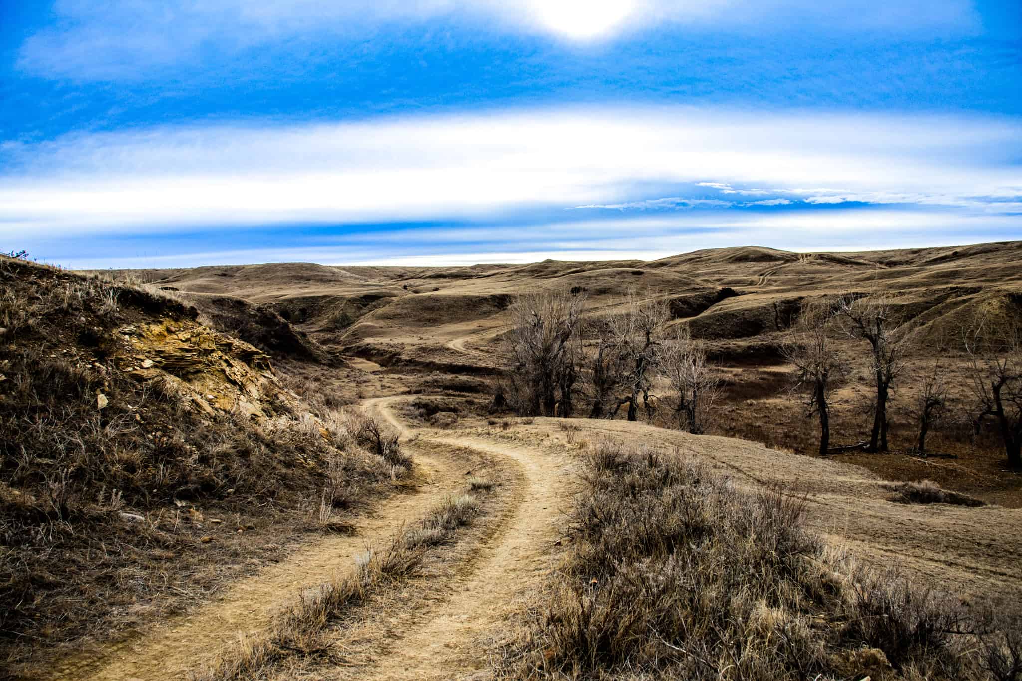 Northeastern Montana Working Cattle Ranch-Mule Deer Hunting Property