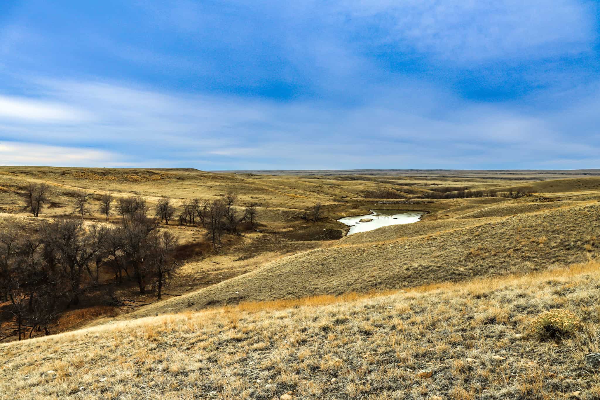 Northeastern Montana Working Cattle Ranch-Mule Deer Hunting Property