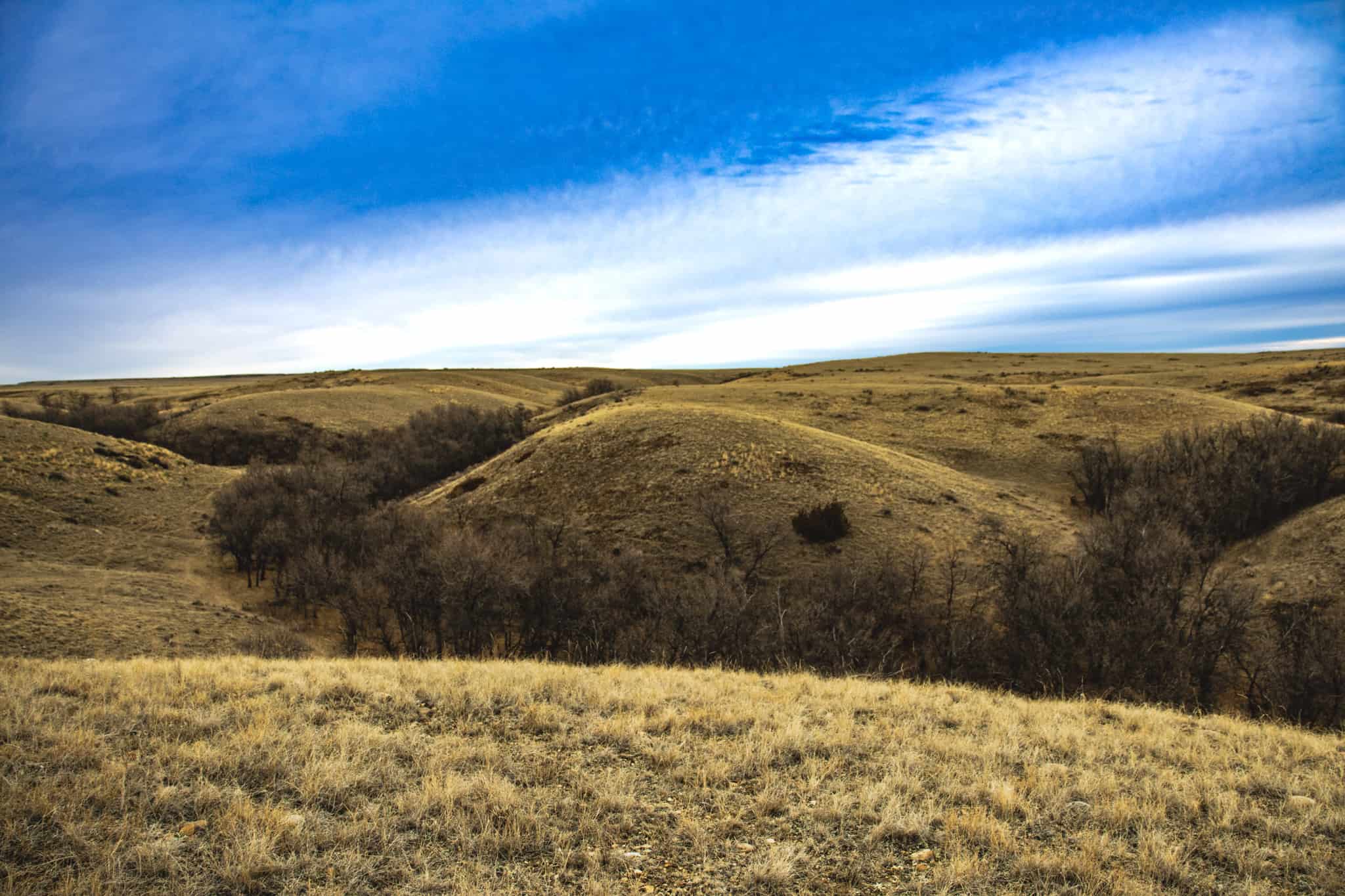 Northeastern Montana Working Cattle Ranch-Mule Deer Hunting Property