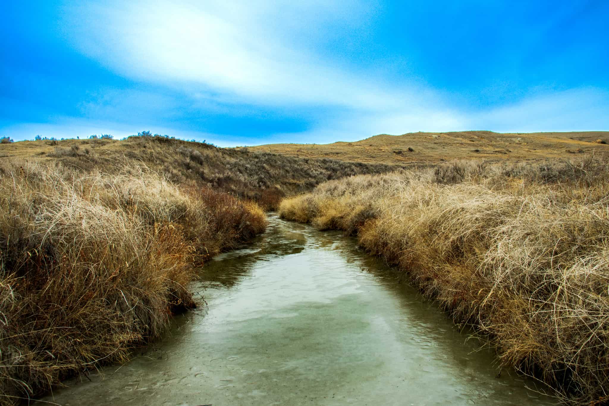Northeastern Montana Working Cattle Ranch-Mule Deer Hunting Property