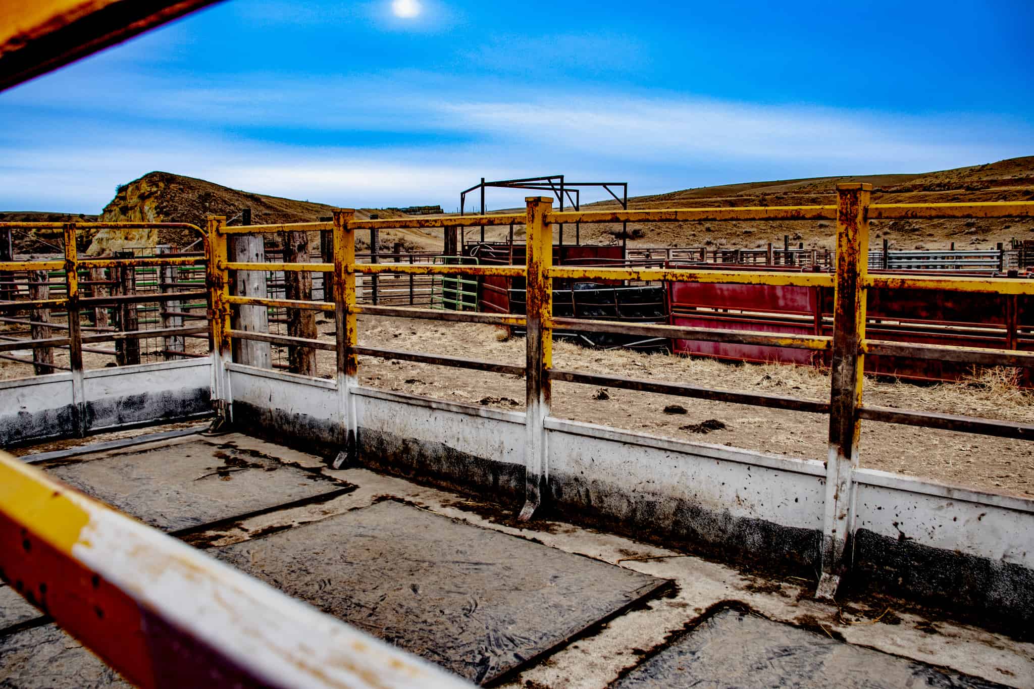 Northeastern Montana Working Cattle Ranch-Mule Deer Hunting Property