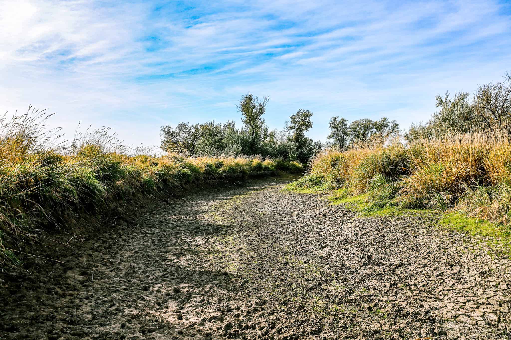 Eastern Montana Irrigated Pivot Ranch For Sale