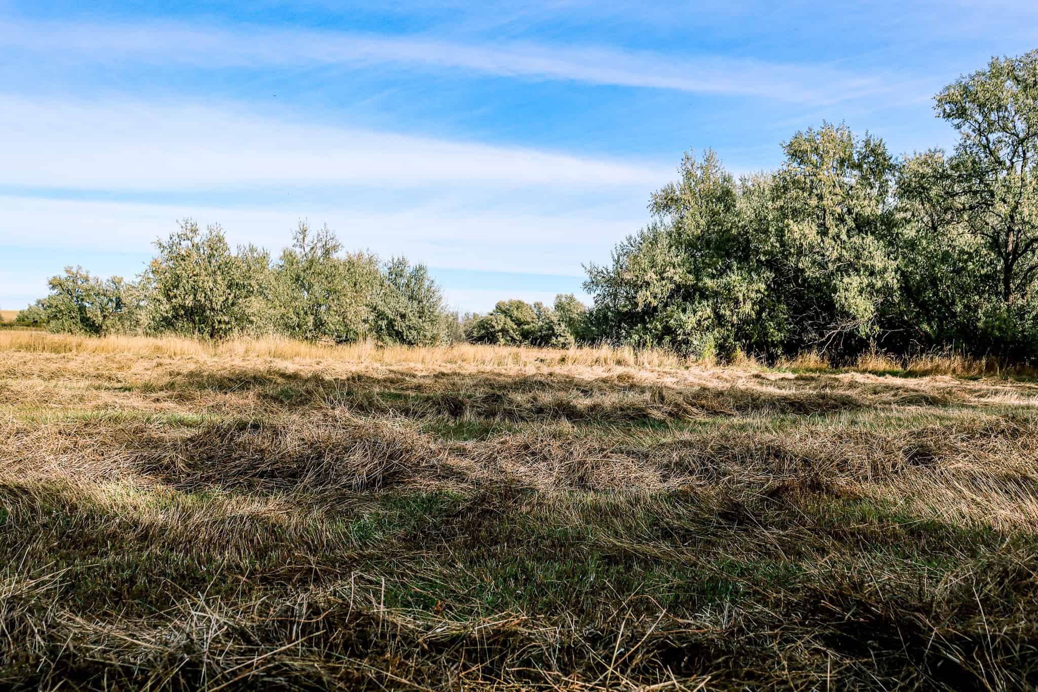 Eastern Montana Irrigated Pivot Ranch For Sale