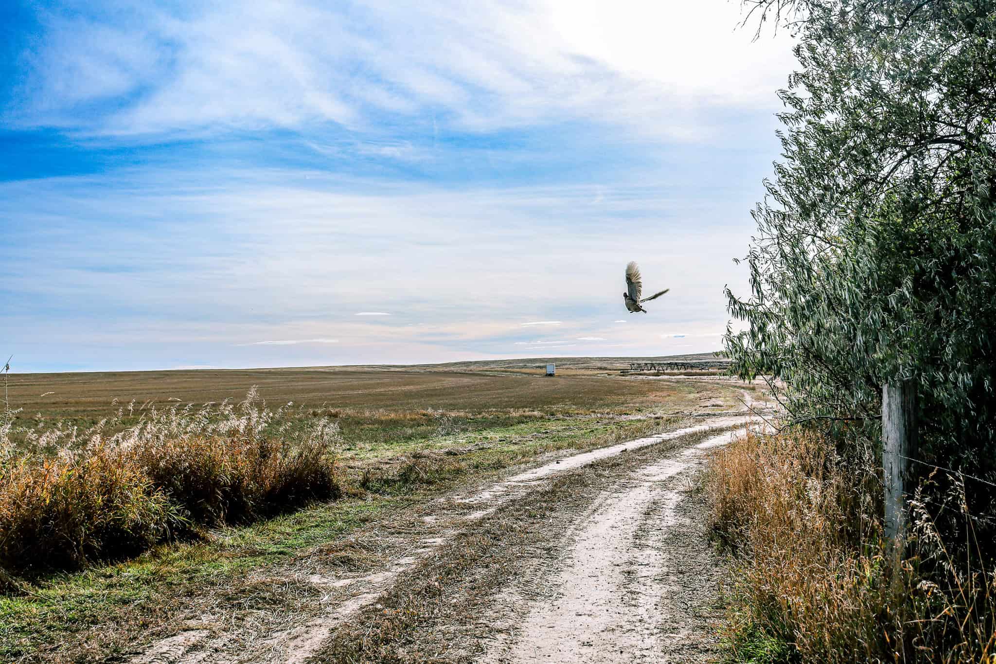 Eastern Montana Irrigated Pivot Ranch For Sale