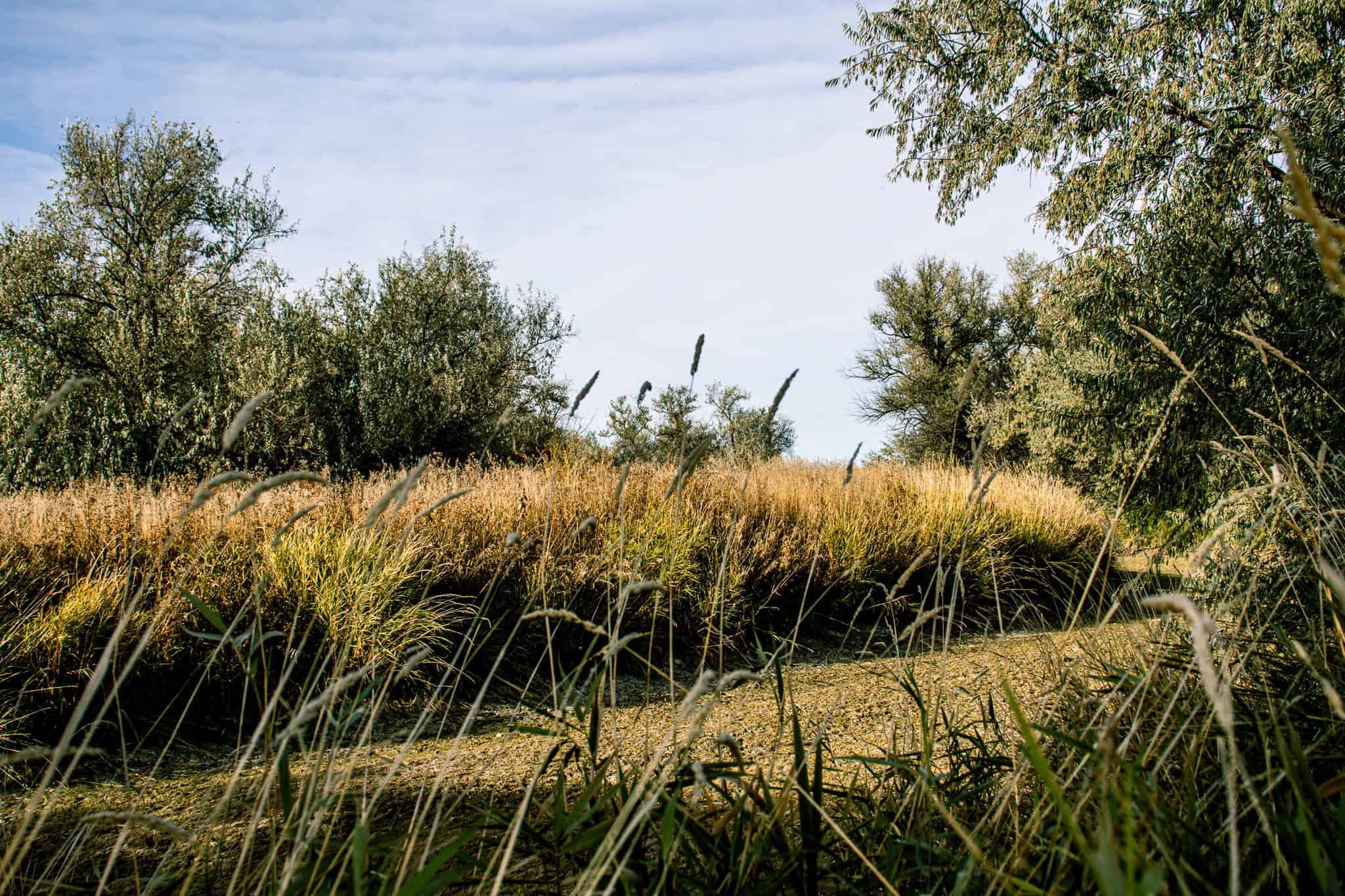 Eastern Montana Irrigated Pivot Ranch For Sale