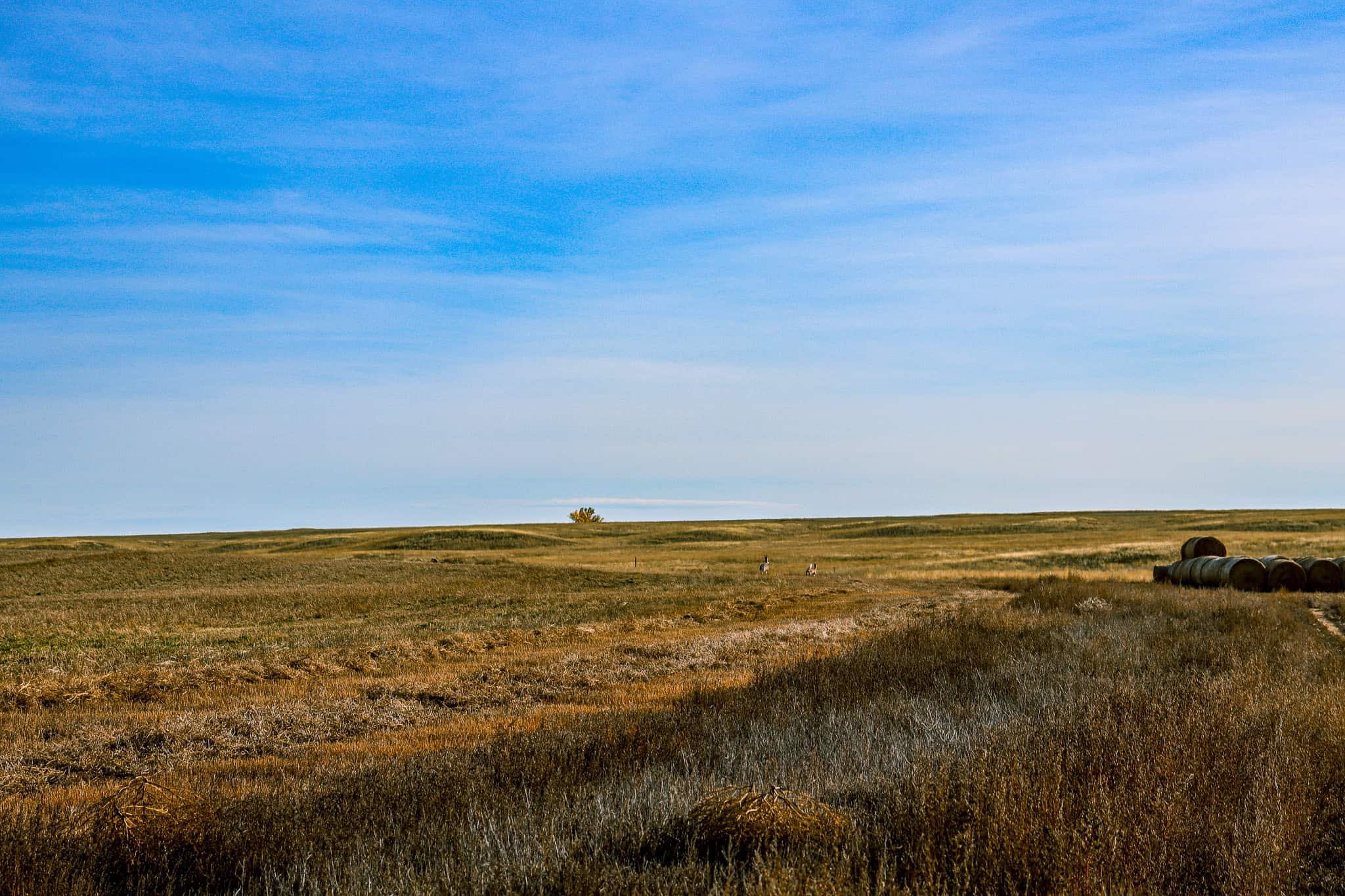 Eastern Montana Irrigated Pivot Ranch For Sale