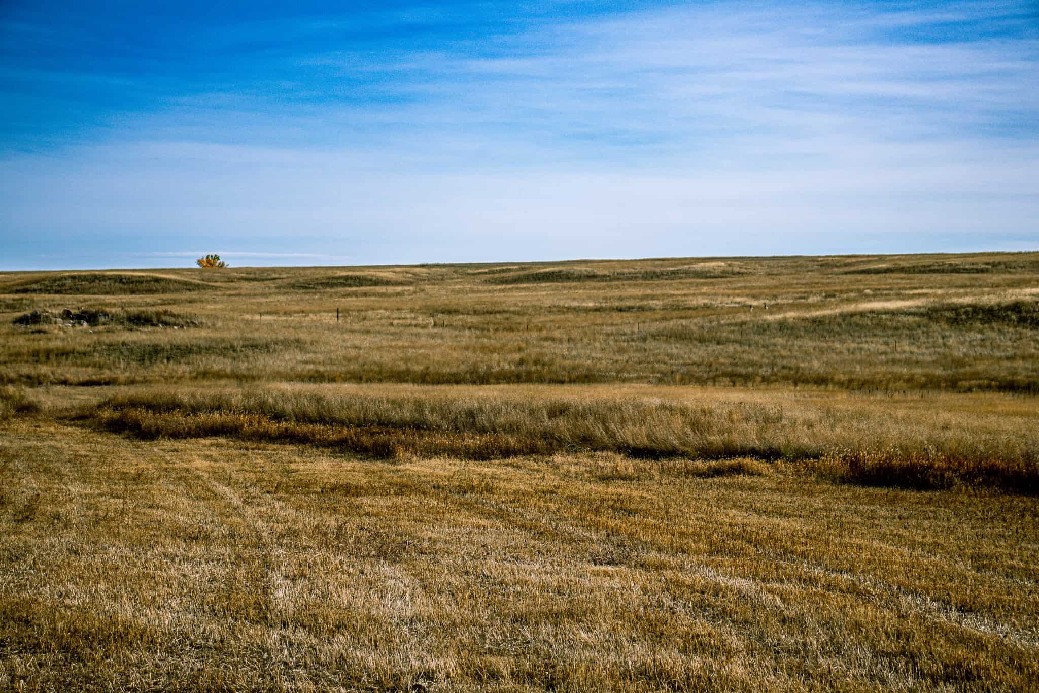 Eastern Montana Irrigated Pivot Ranch For Sale