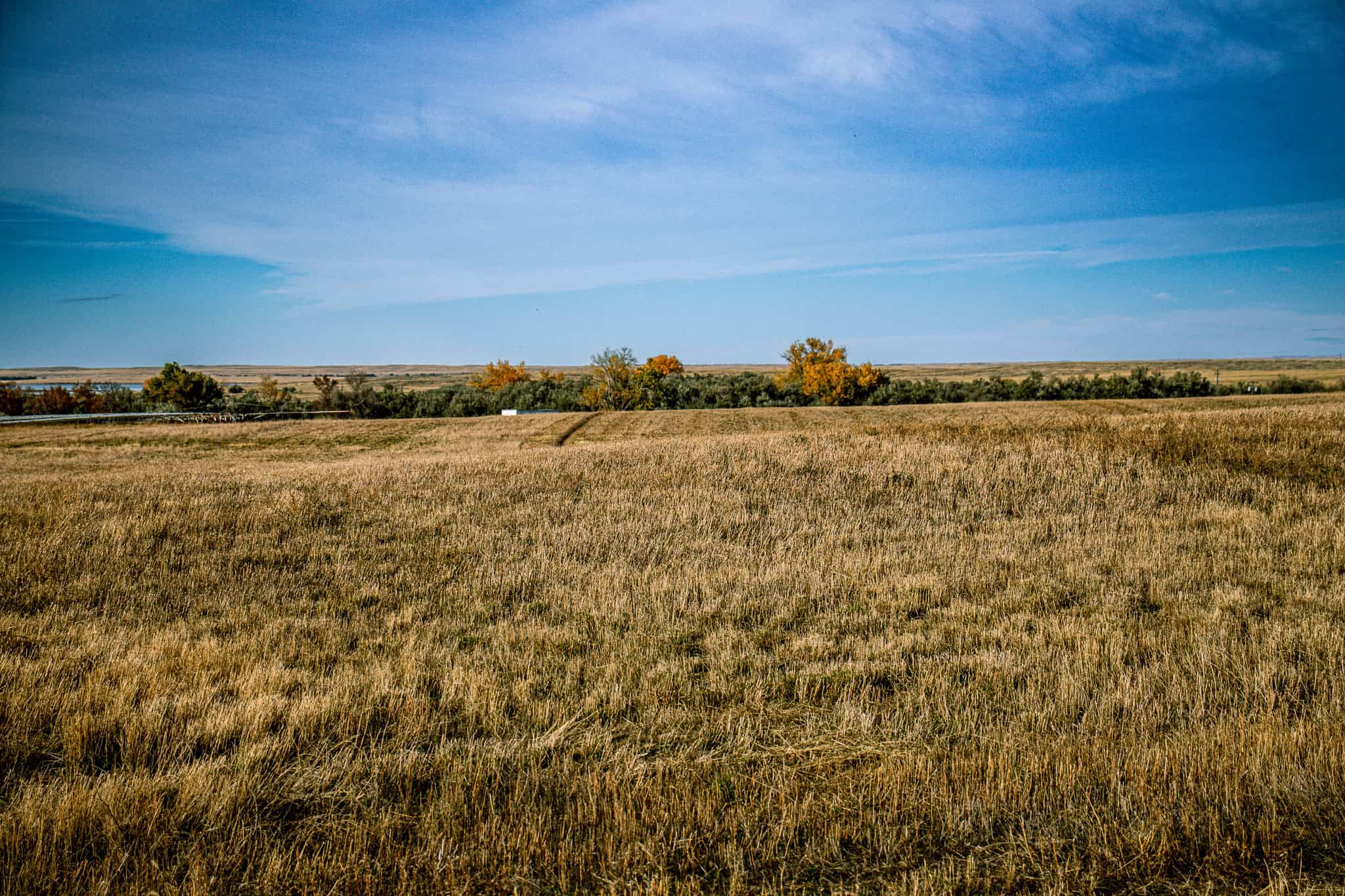 Eastern Montana Irrigated Pivot Ranch For Sale