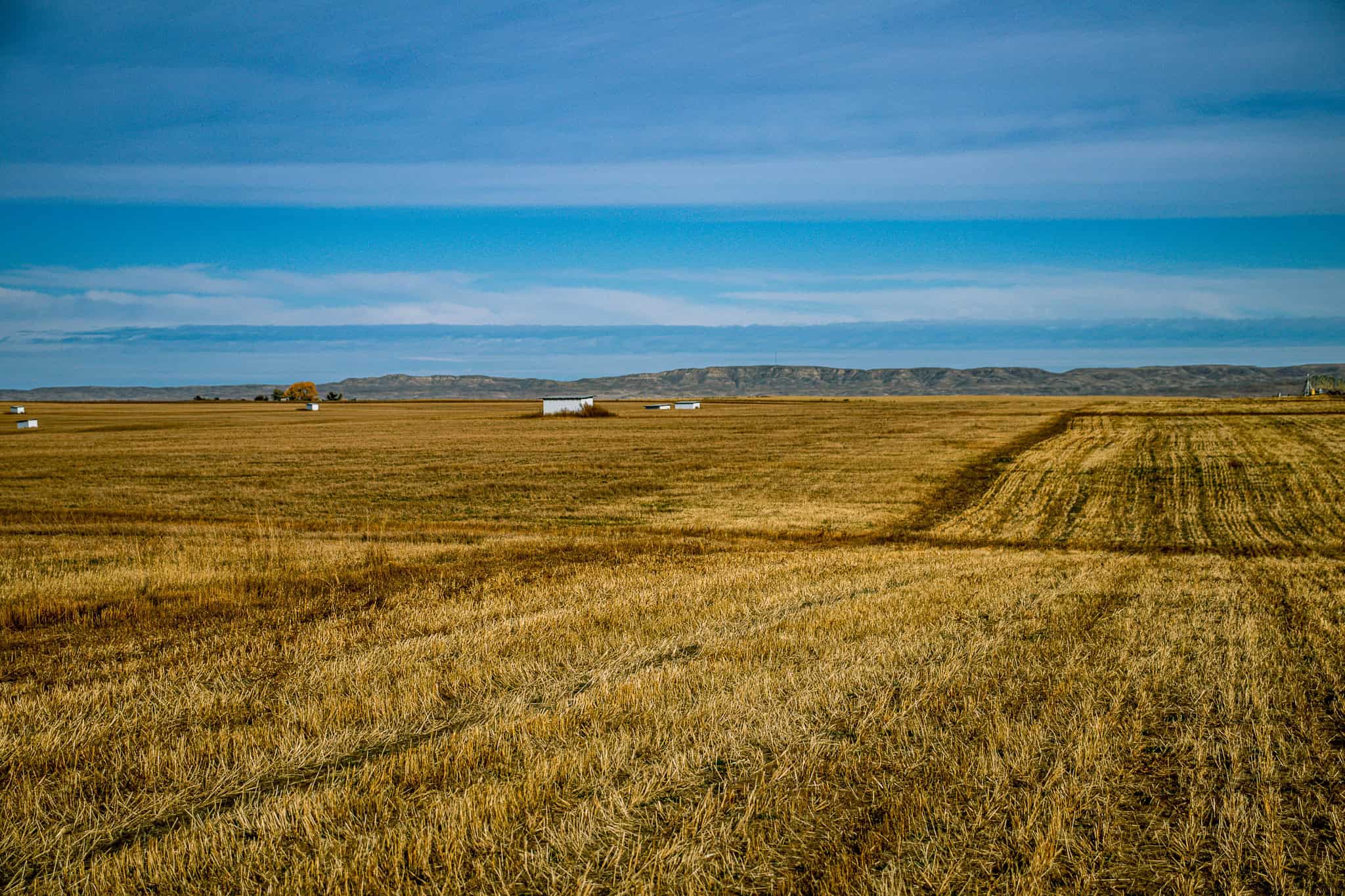Eastern Montana Irrigated Pivot Ranch For Sale