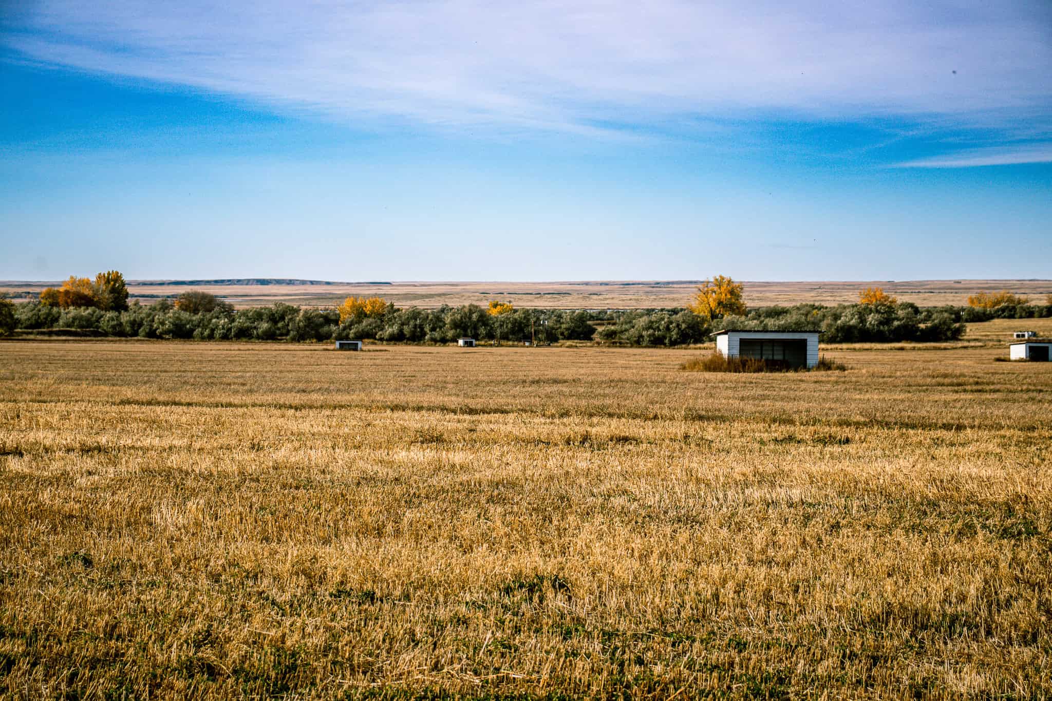 Eastern Montana Irrigated Pivot Ranch For Sale
