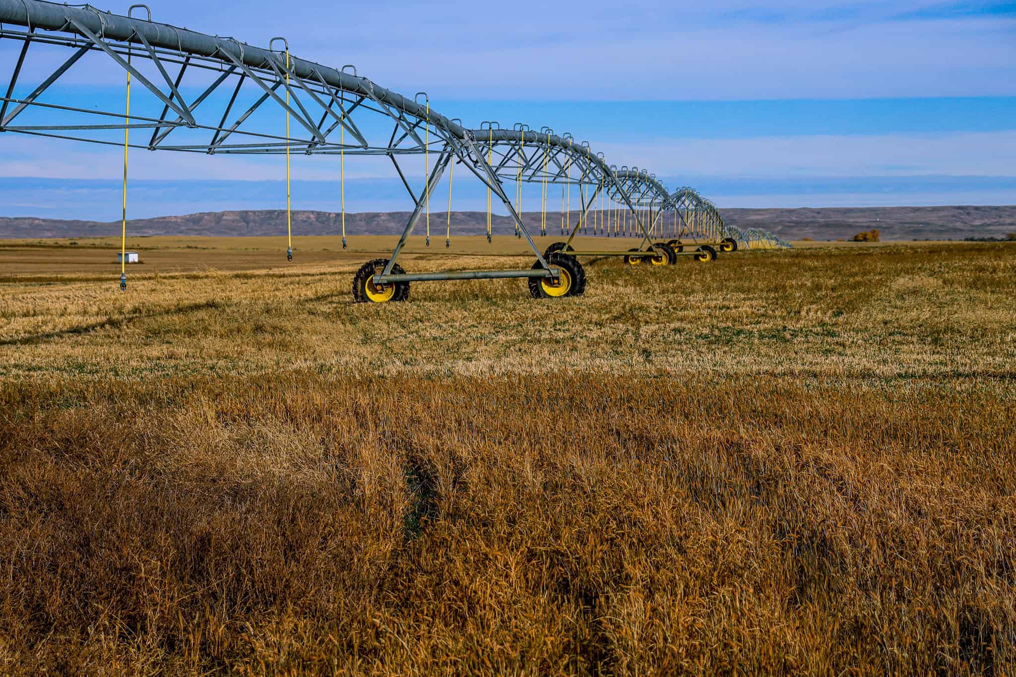 Eastern Montana Irrigated Pivot Ranch For Sale