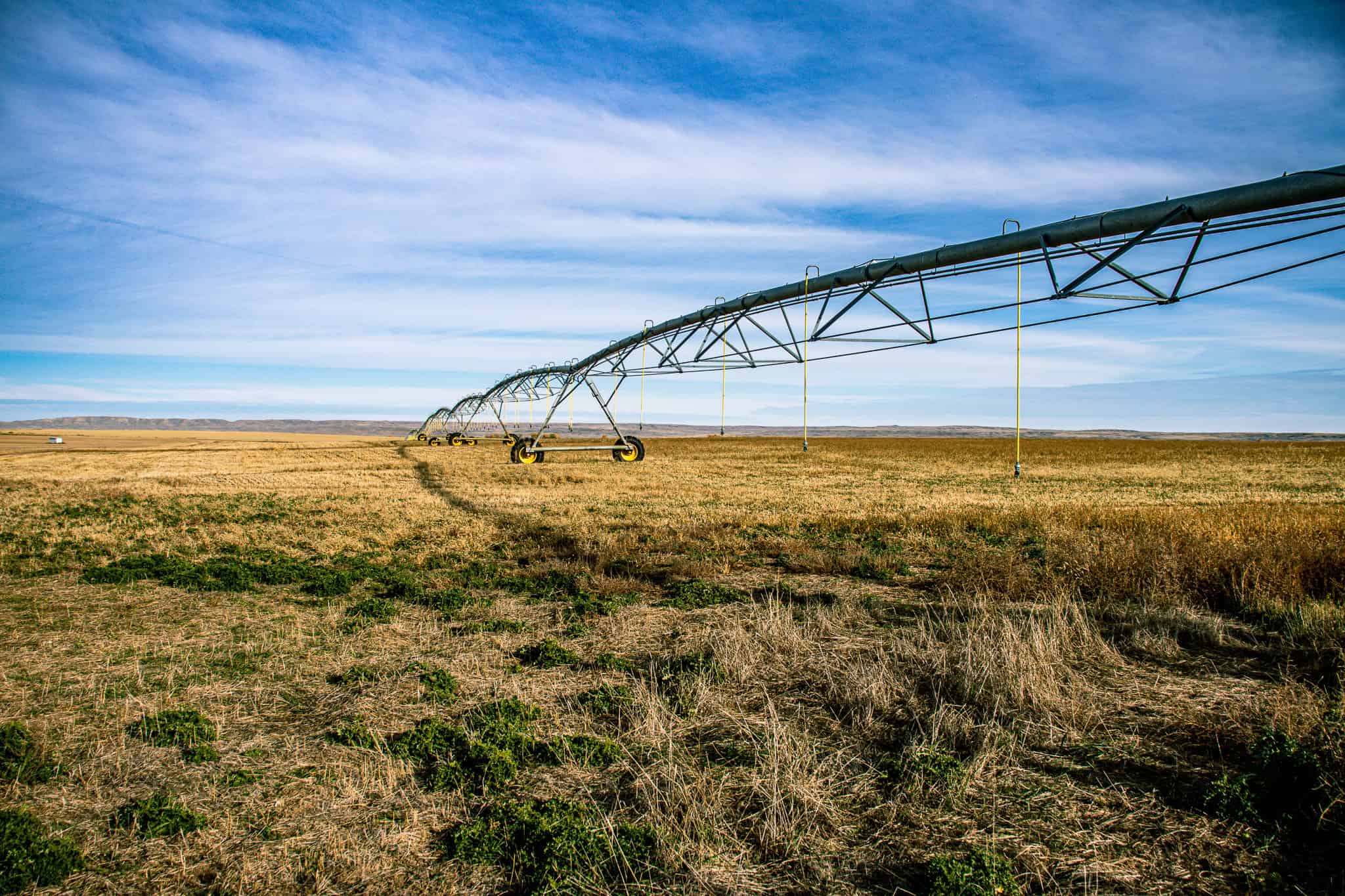 Eastern Montana Irrigated Pivot Ranch For Sale