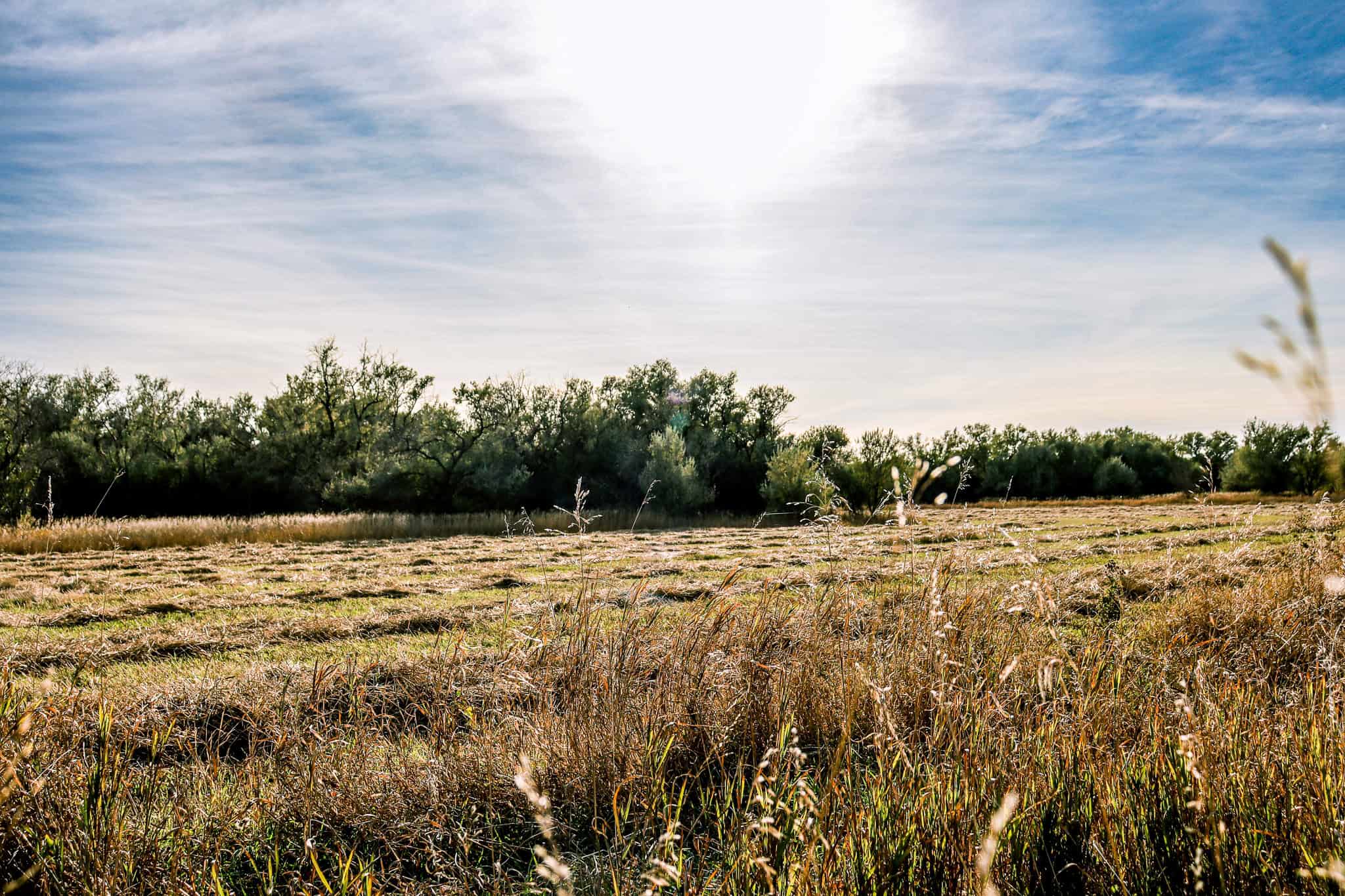 Eastern Montana Irrigated Pivot Ranch For Sale