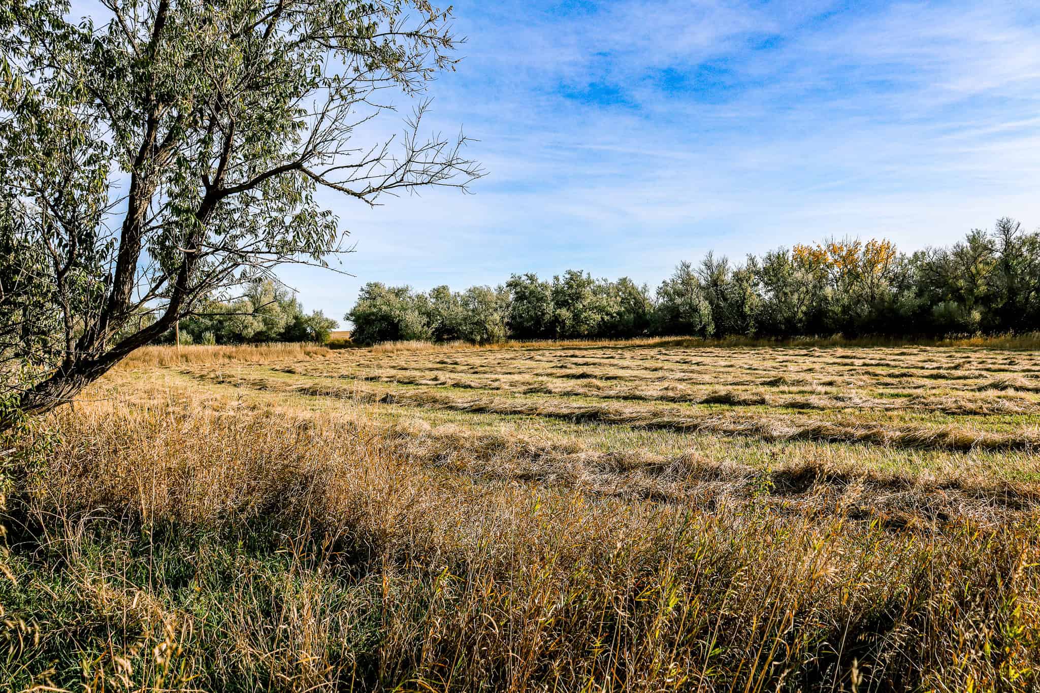 Eastern Montana Irrigated Pivot Ranch For Sale