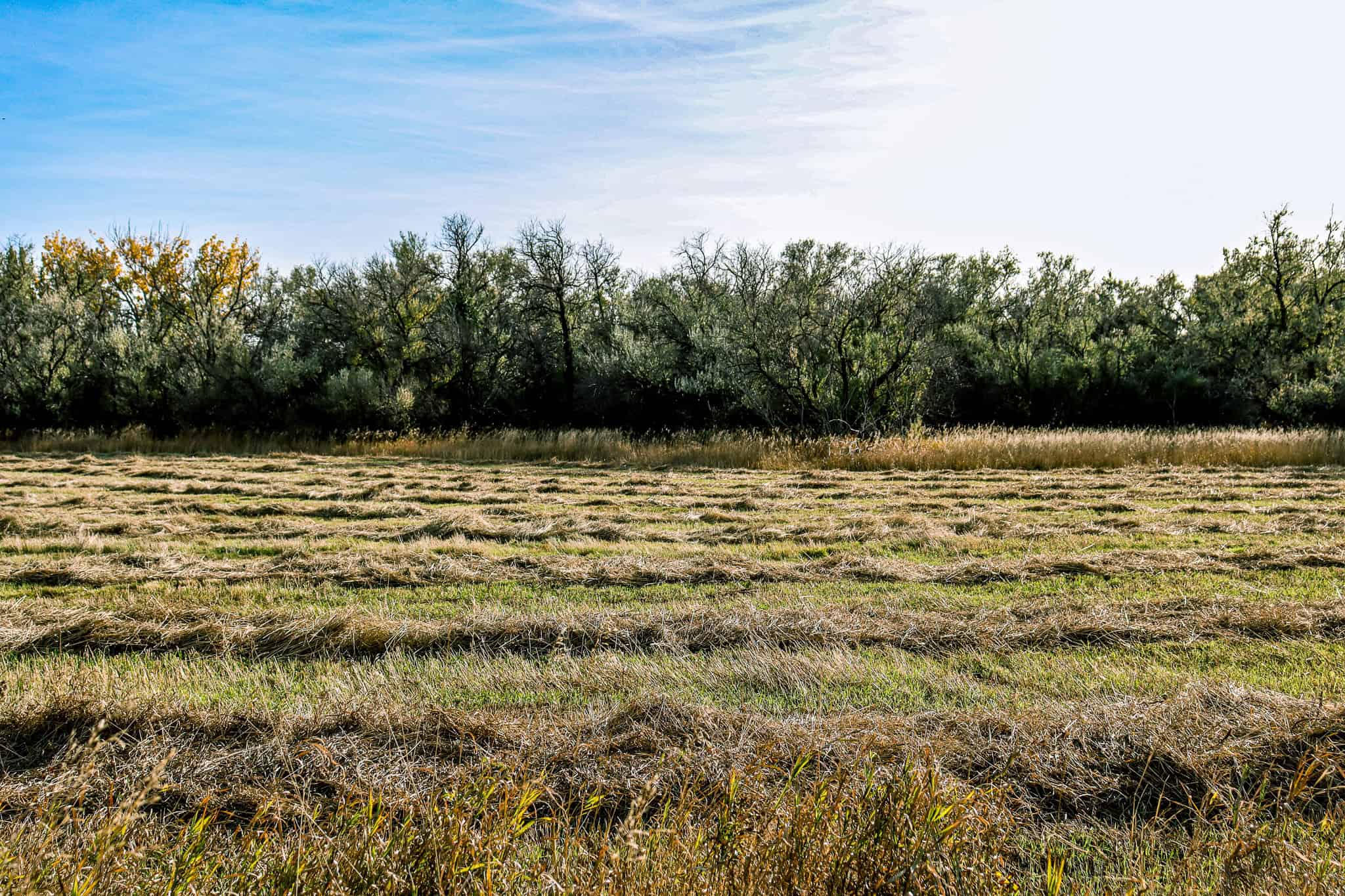 Eastern Montana Irrigated Pivot Ranch For Sale