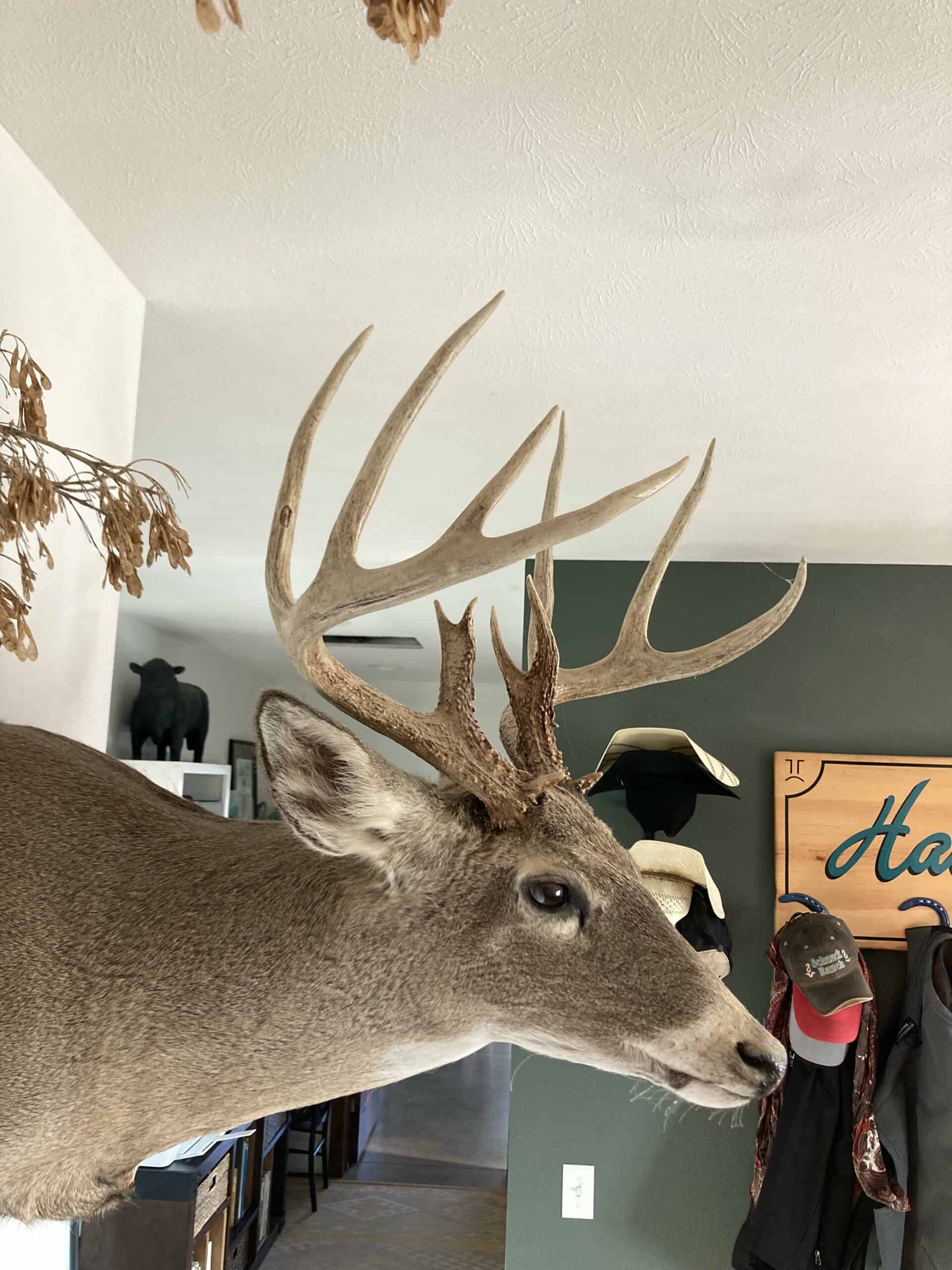 Hunting and Ranch property for sale in Hot Springs, SD near Angustora Lake