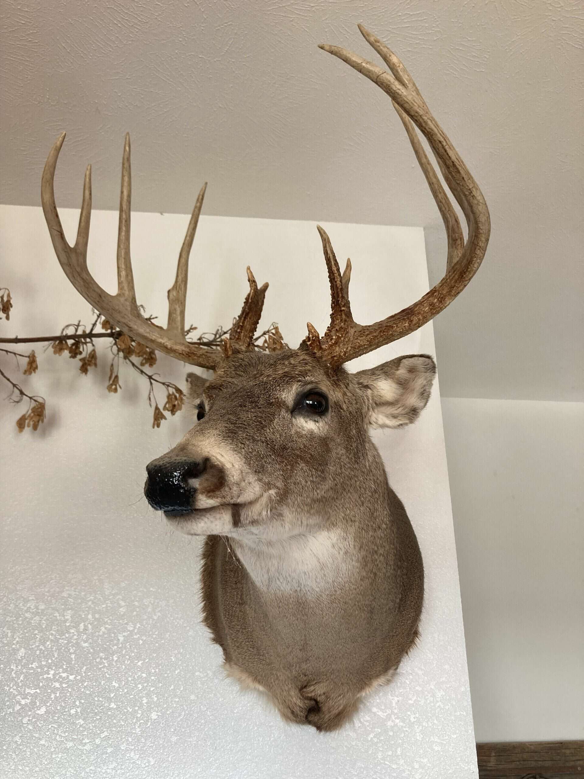 Hunting and Ranch property for sale in Hot Springs, SD near Angustora Lake