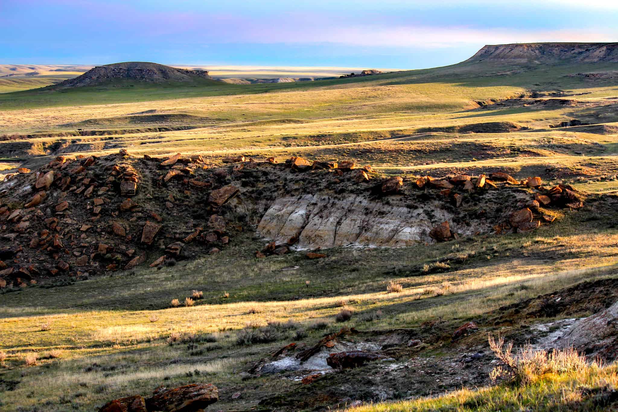 Northeastern Montana Working Cattle Ranch-Mule Deer Hunting Property